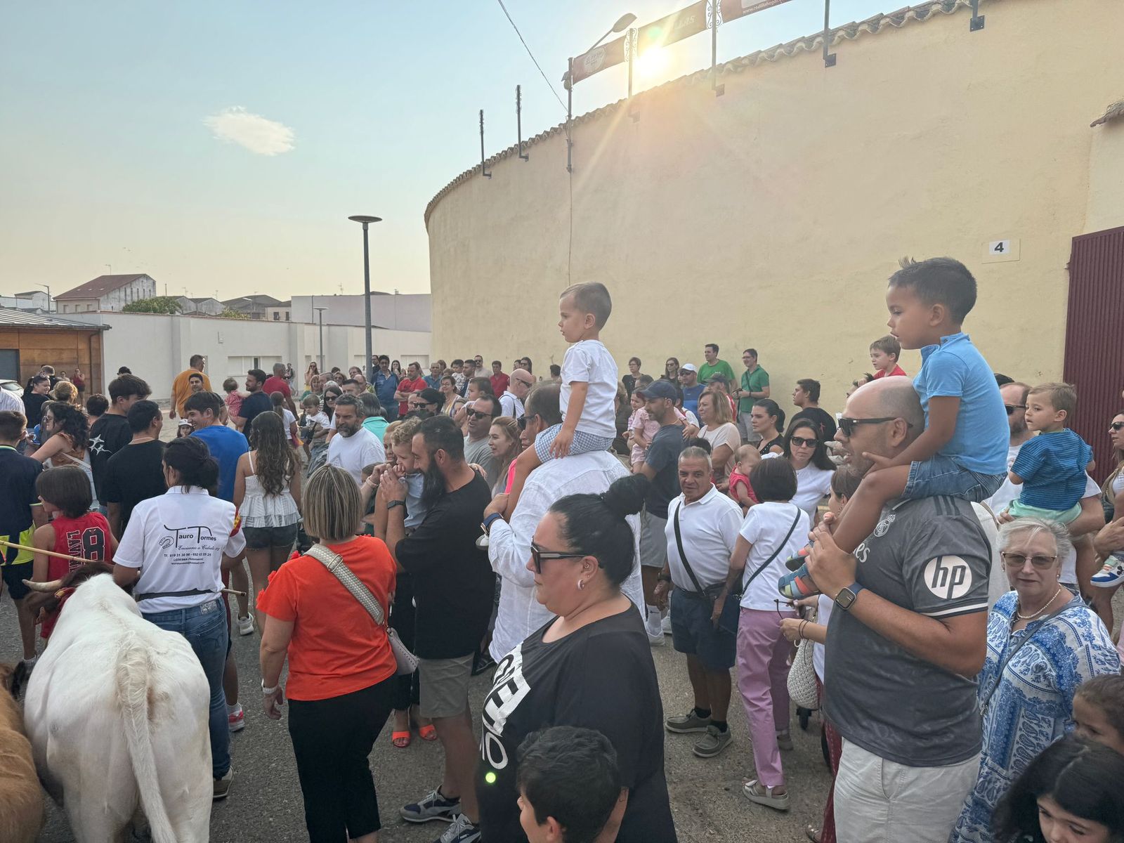 Encierro infantil de Mini Bueyes en Guijuelo durante sus fiestas 2025