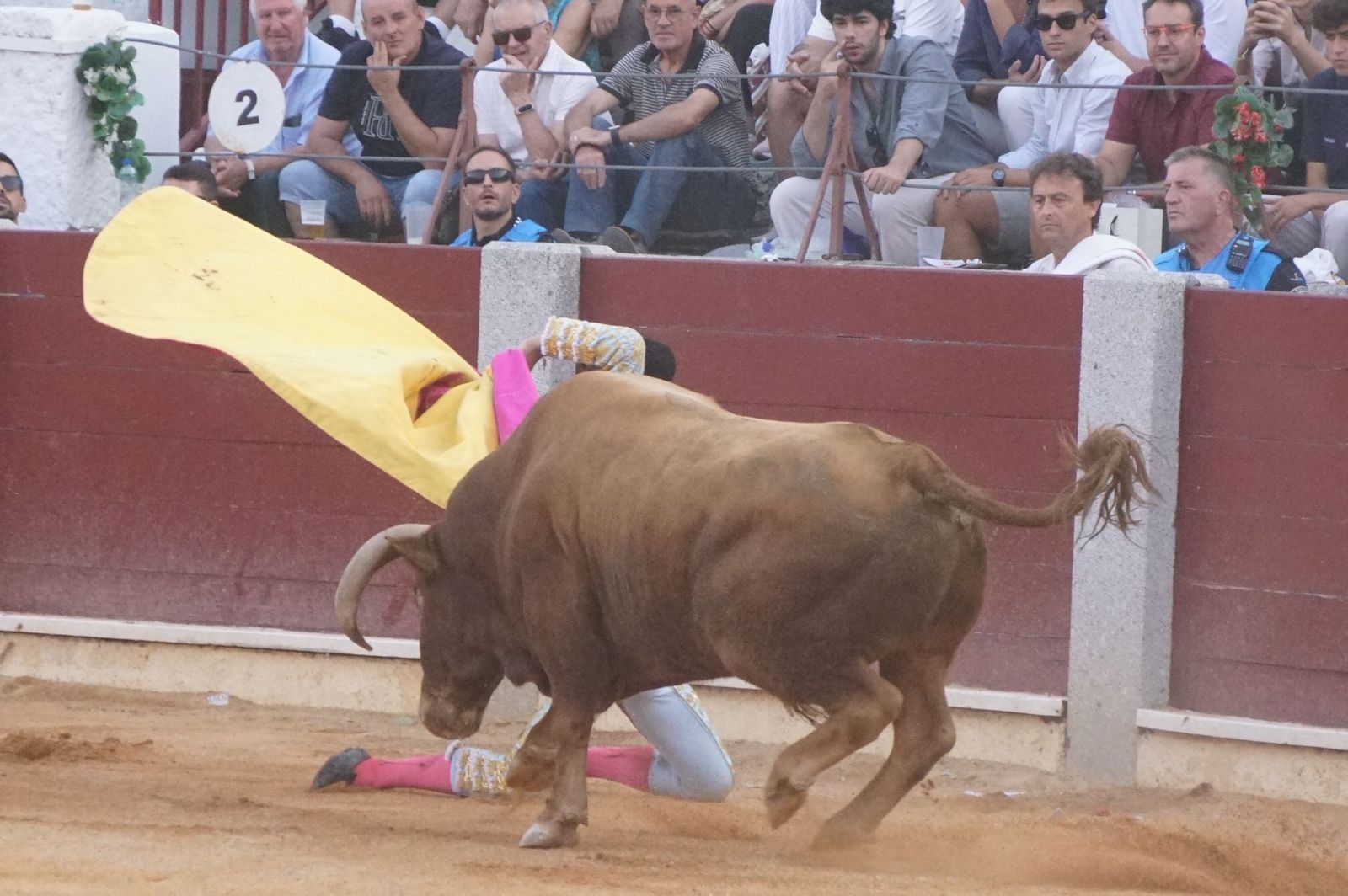 Novillada mixta en picadores en Guijuelo, 17 de agosto