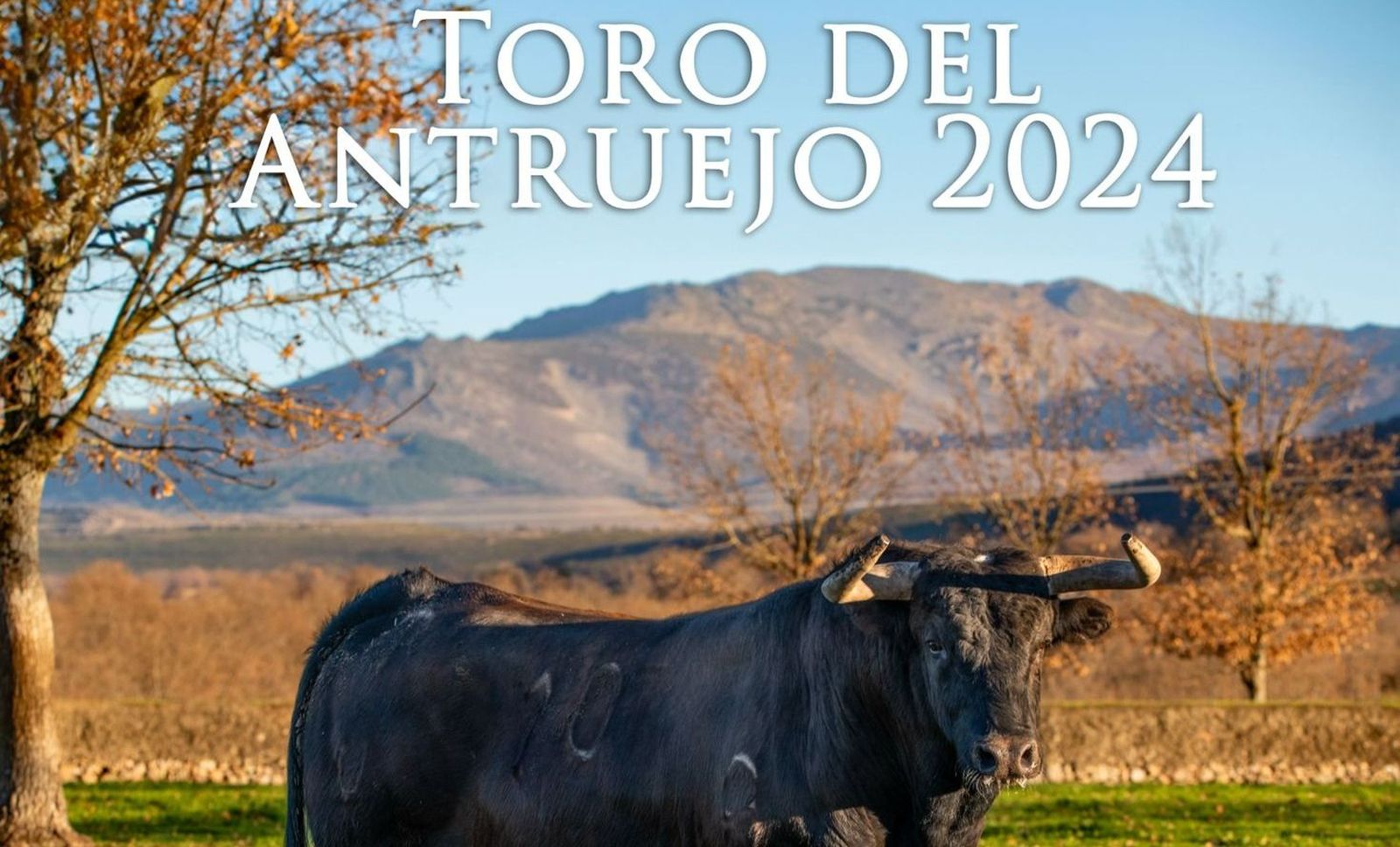 Toro de Antruejo