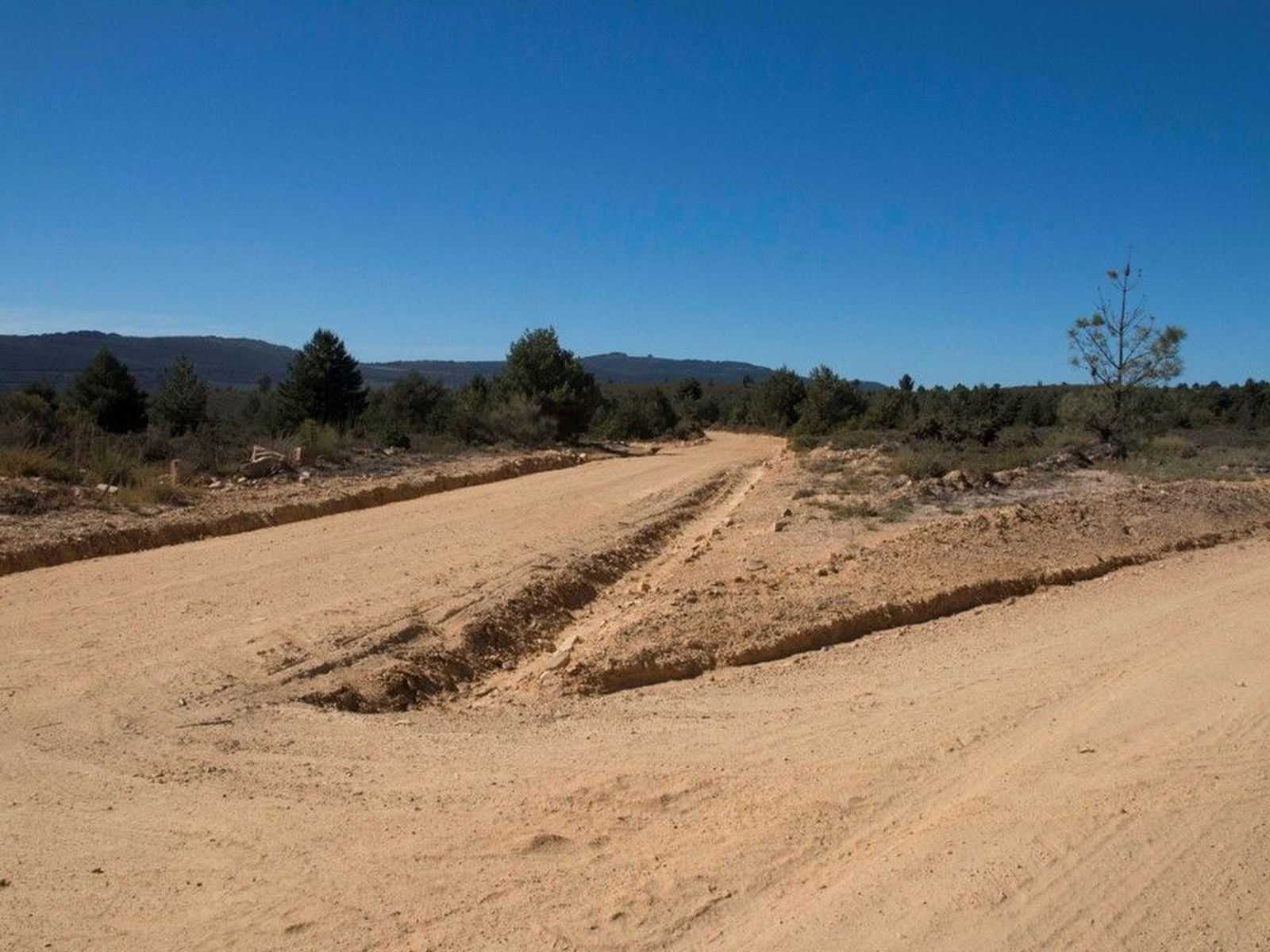 Codesal camino de concentración.