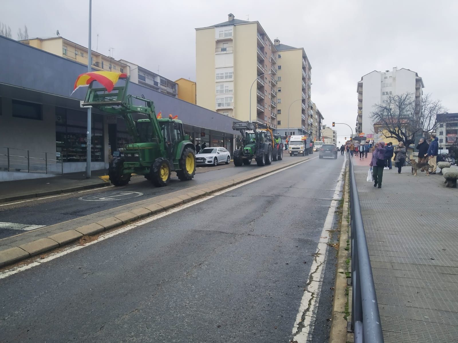 bejar-acoge-una-marcha-lenta-de-tractores-en-protesta-por-los-saneamientos-11