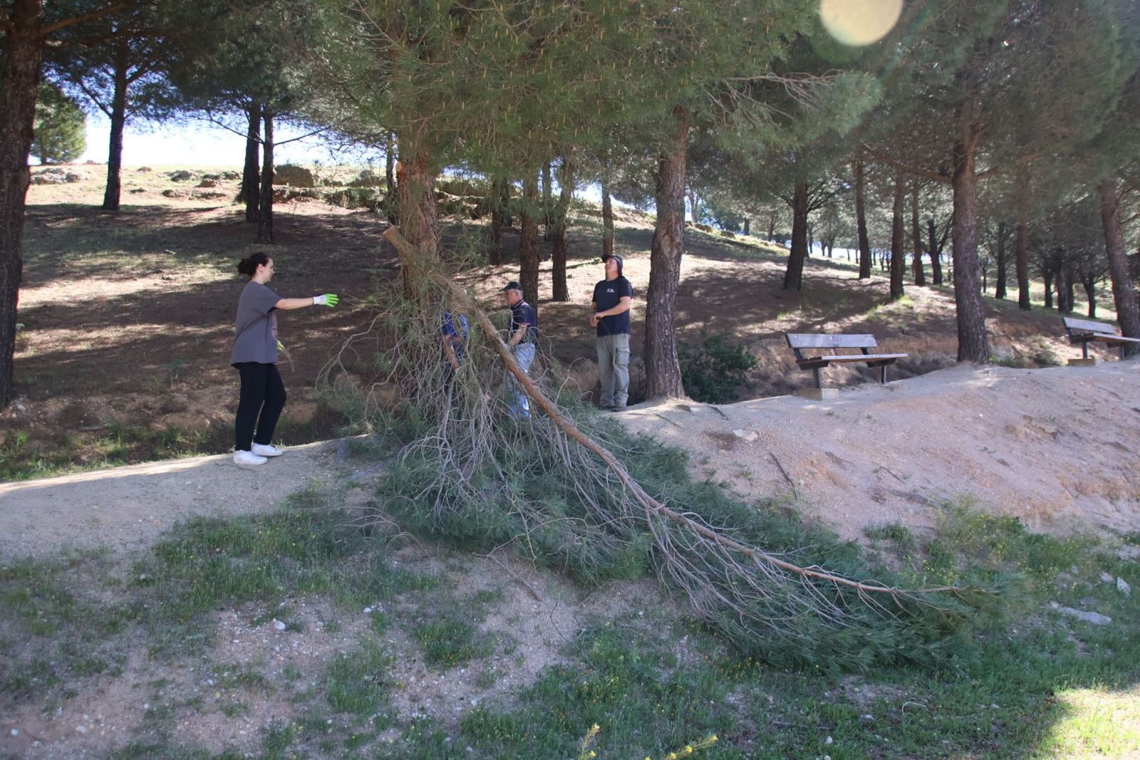 20240413104207-img-8069