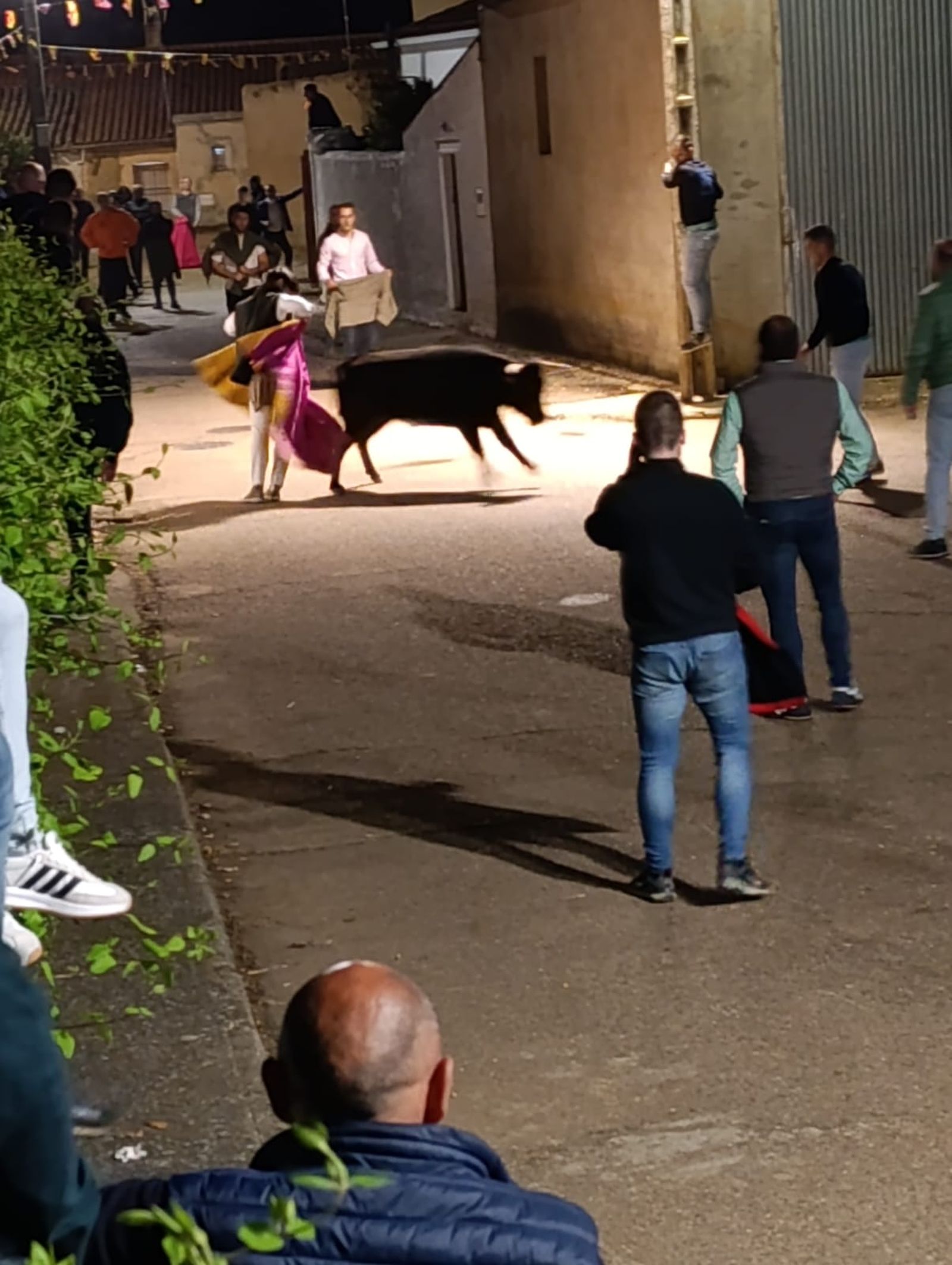 suelta-de-vaquillas-en-cabrillas-14