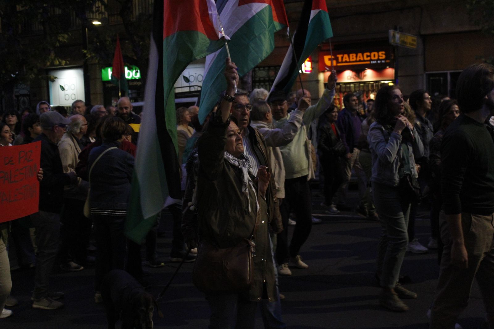 Manifestación por Palestina
