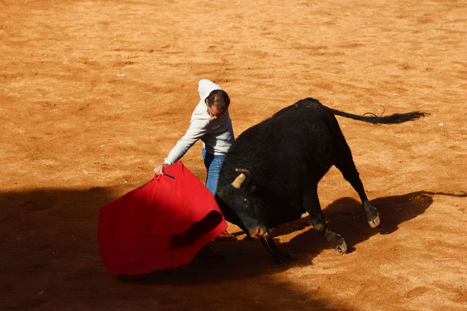 Capea de mañana en el martes del Carnaval del Toro de Ciudad Rodrigo