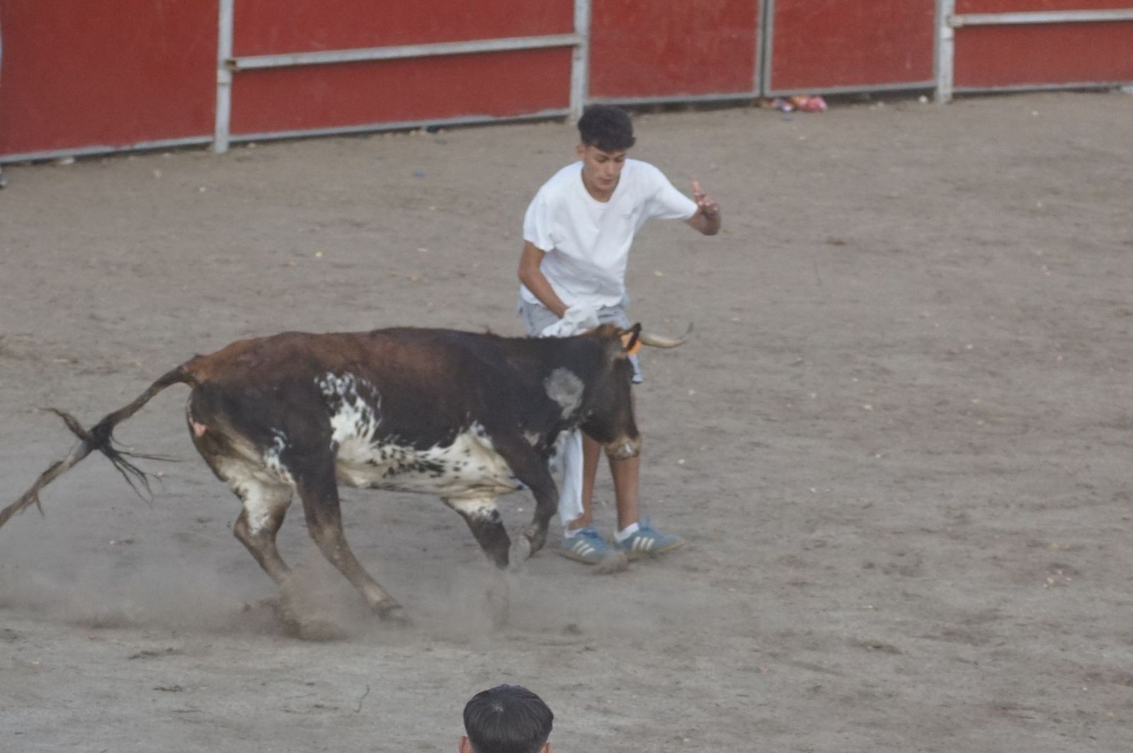 Carreras, risas y tradición: así se ha vivido El Toro en Santa Marta