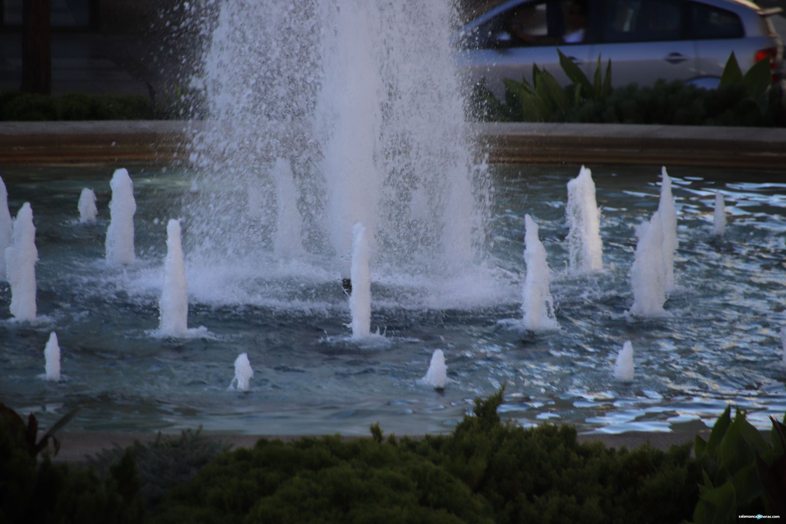 Calor buen tiempo (2)