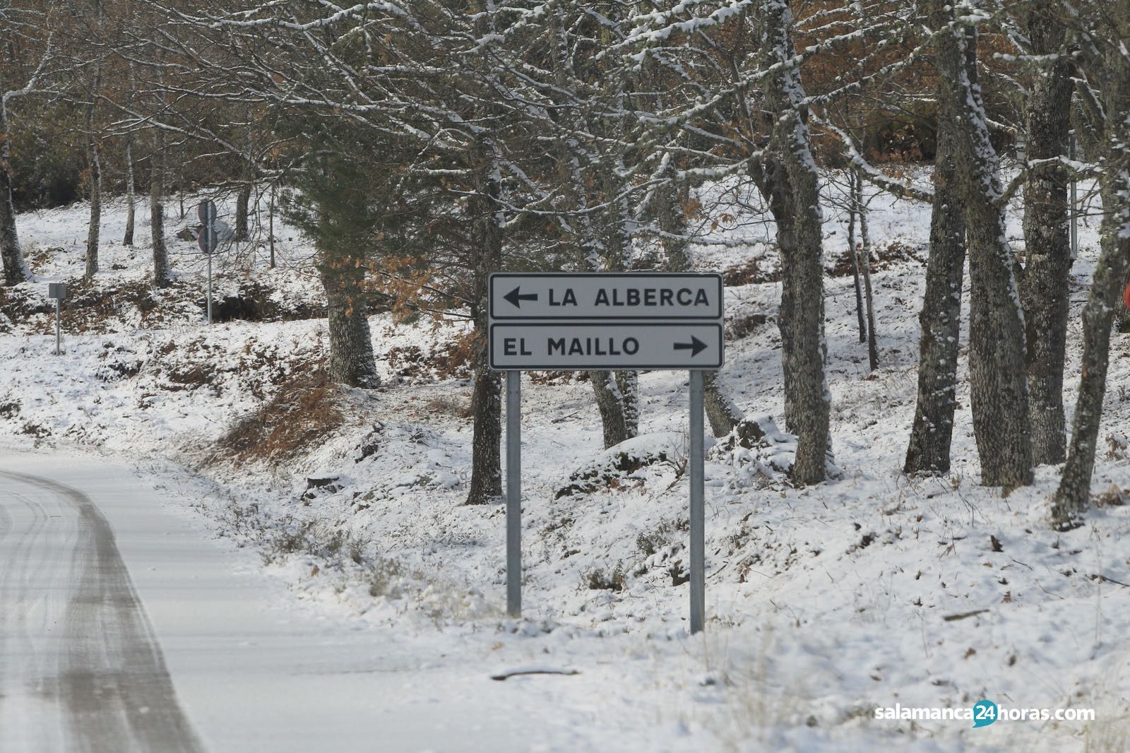Nieve Sierra de Francia
