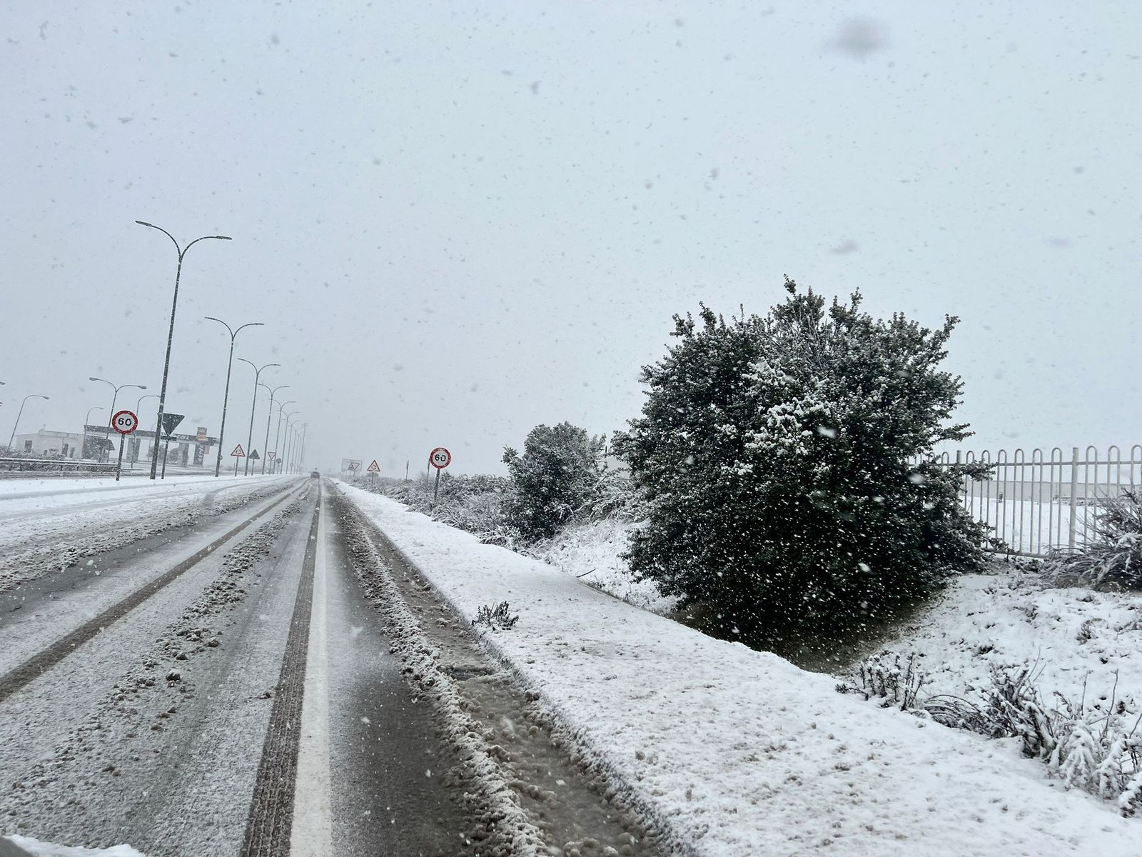 Nevada en Salamanca 28 de enero 2026