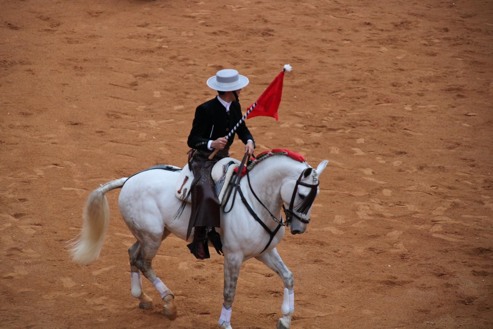 whatsapp-image-2025-03-02-at-18-55-52