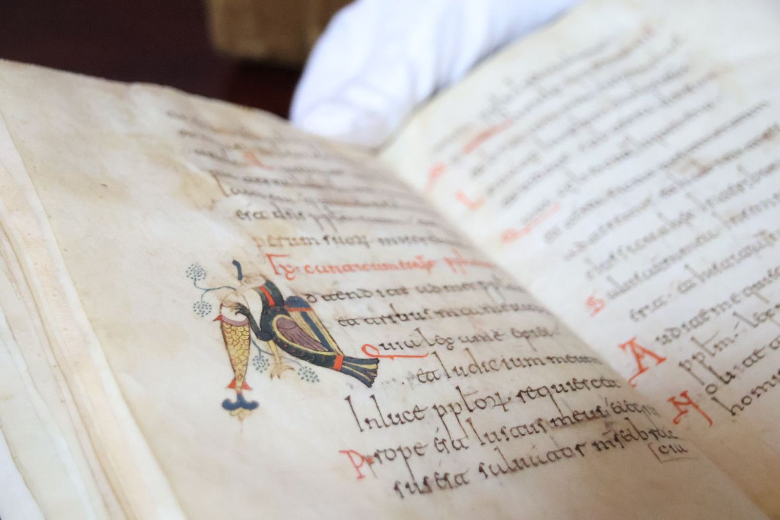 20231005105853-img-1291