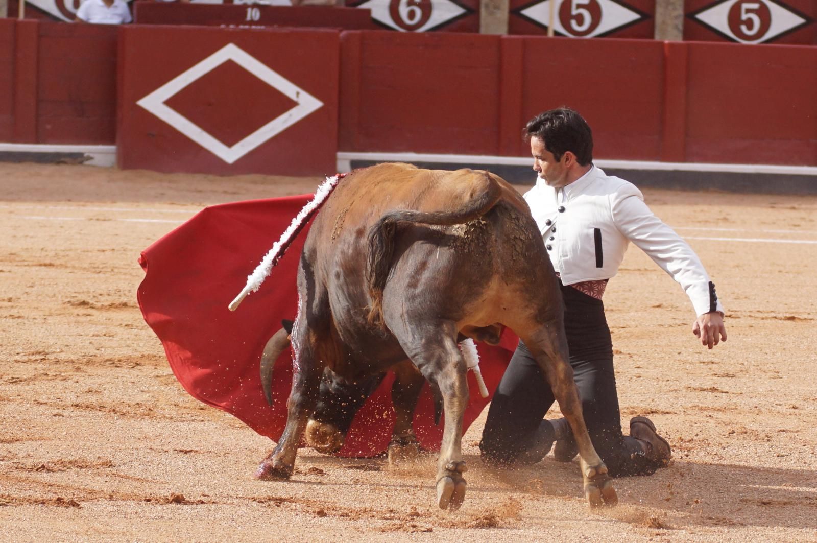 whatsapp-image-2025-06-12-at-21-25-04-6