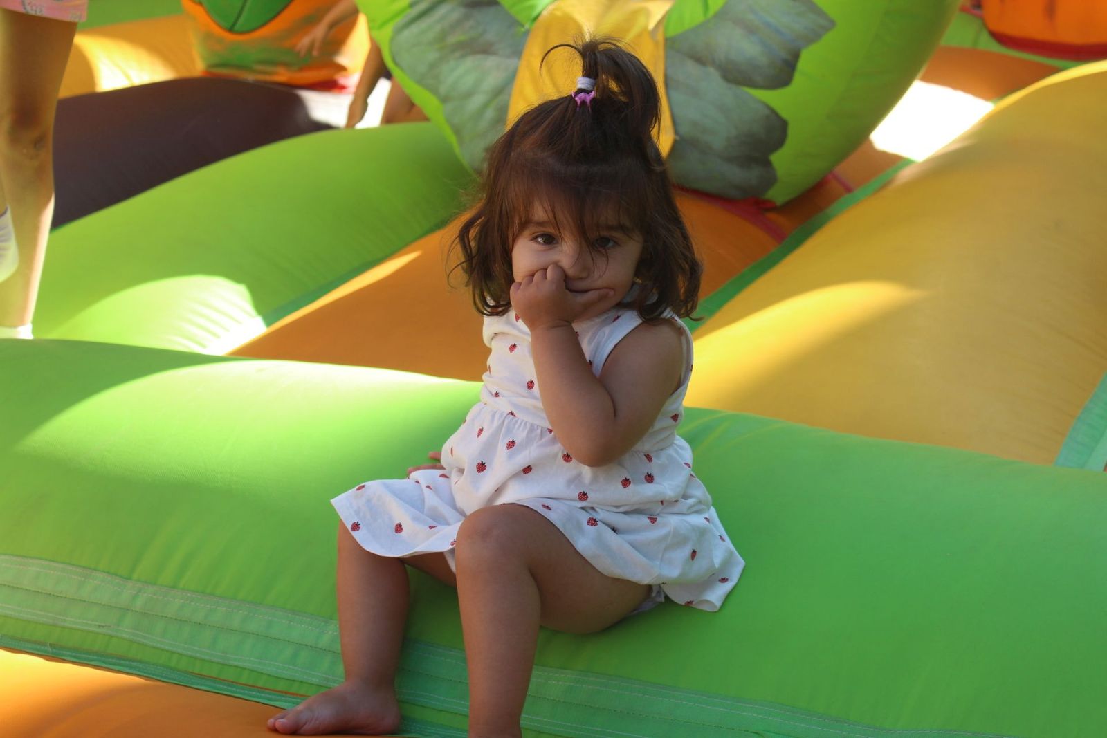 20230803193149-img-3741