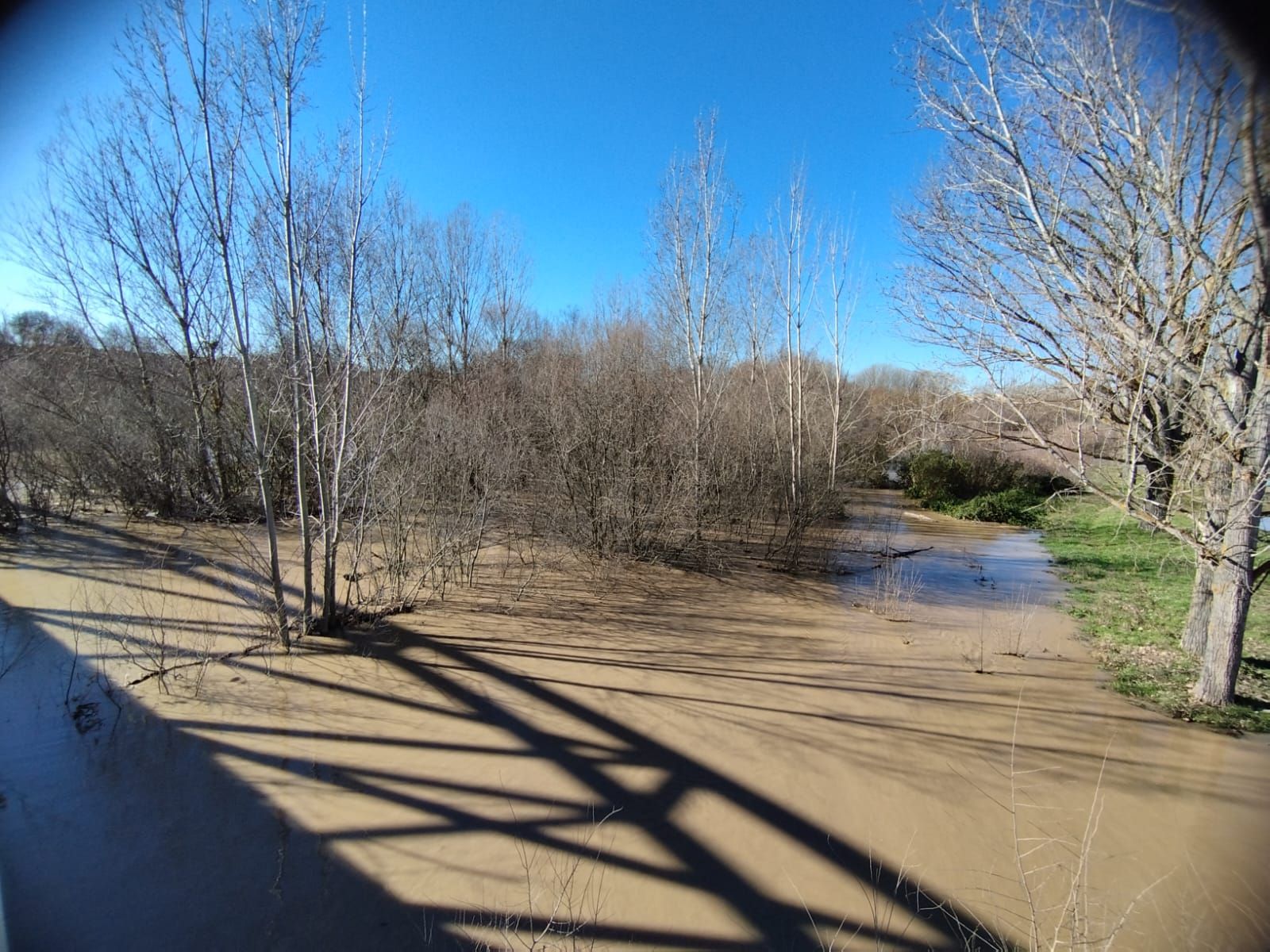 whatsapp-image-2024-01-20-at-13-52-05