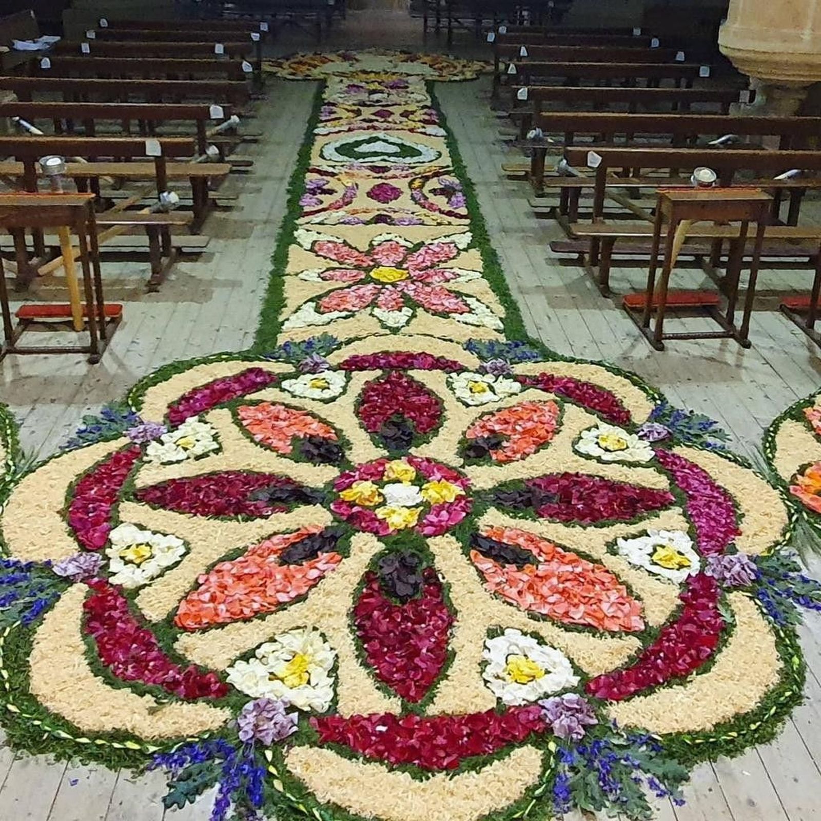 Alfombra de flores de Bermillo de Sayago