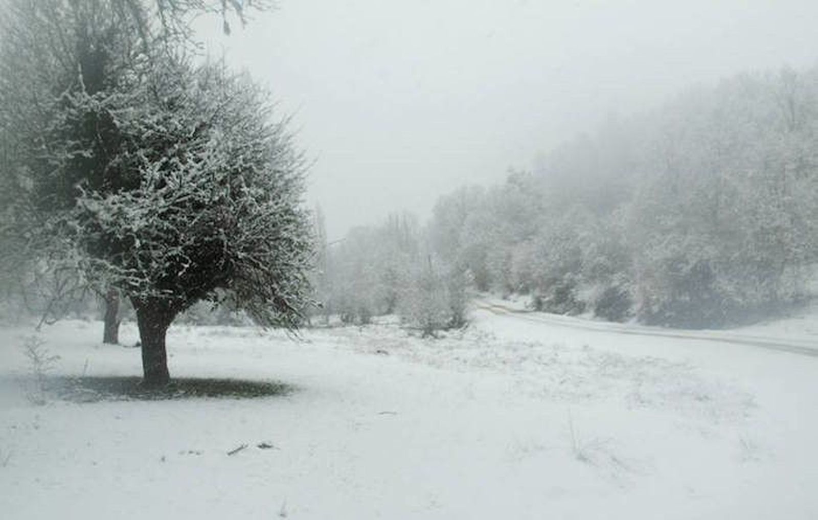 La Delegación del Gobierno activa la alerta por nieve en Sanabria
