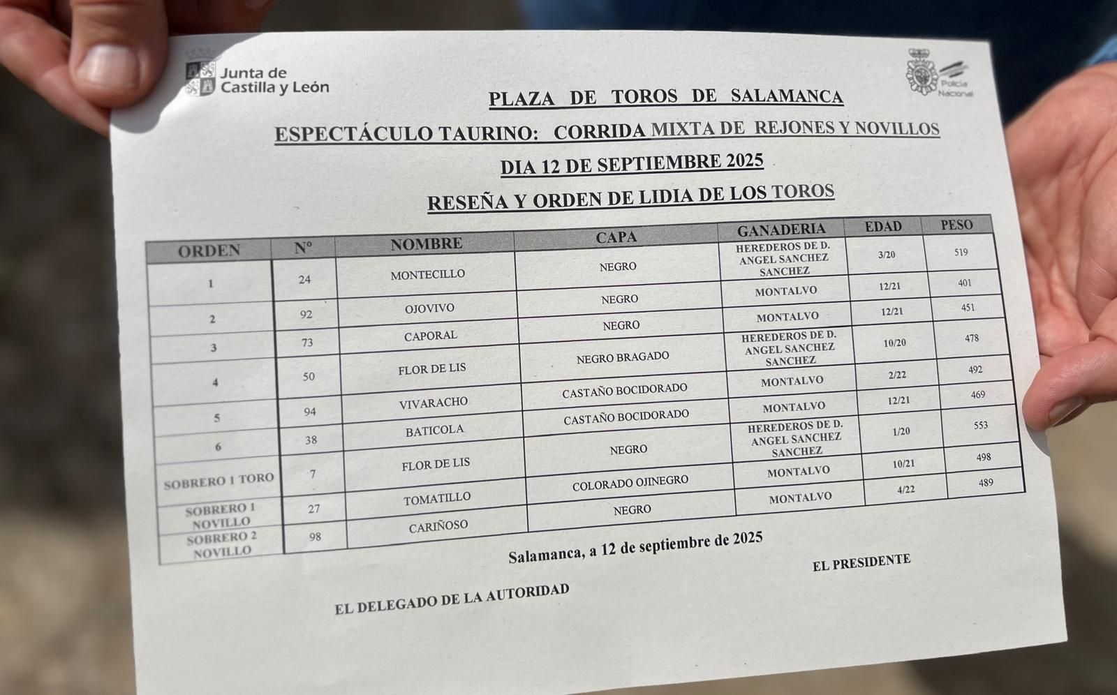 Sorteados los novillos de Montalvo para Raquel Martín y Olga Casado en el primer festejo de la feria en La Glorieta