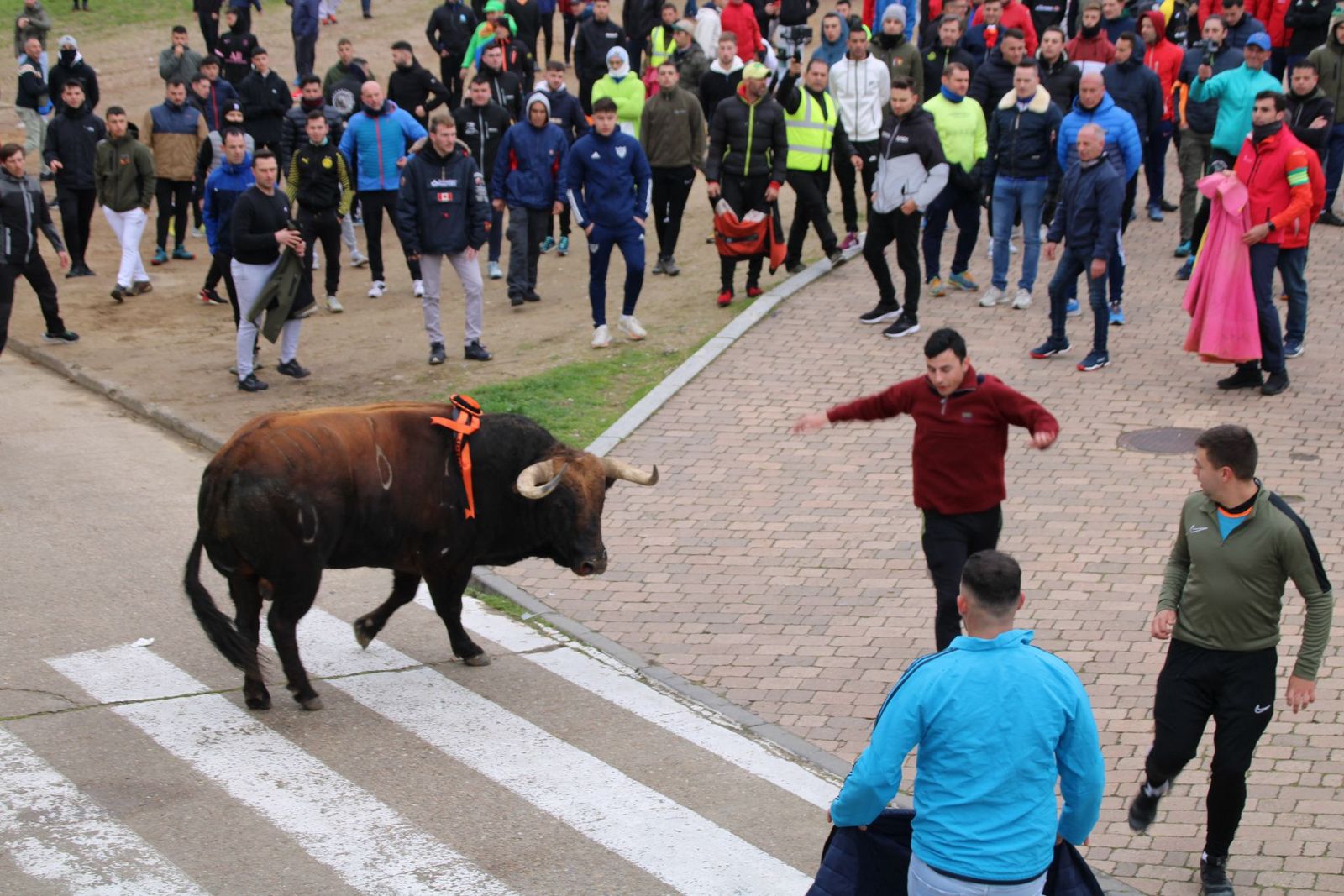 whatsapp-image-2025-03-01-at-11-56-23