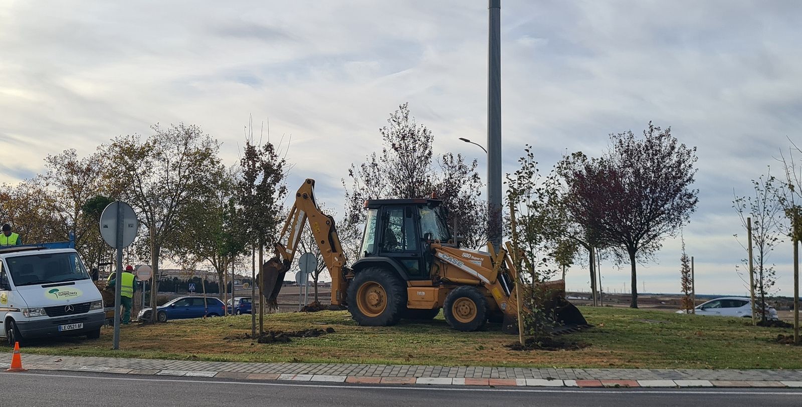 Plantacion arboles Quinto Pino