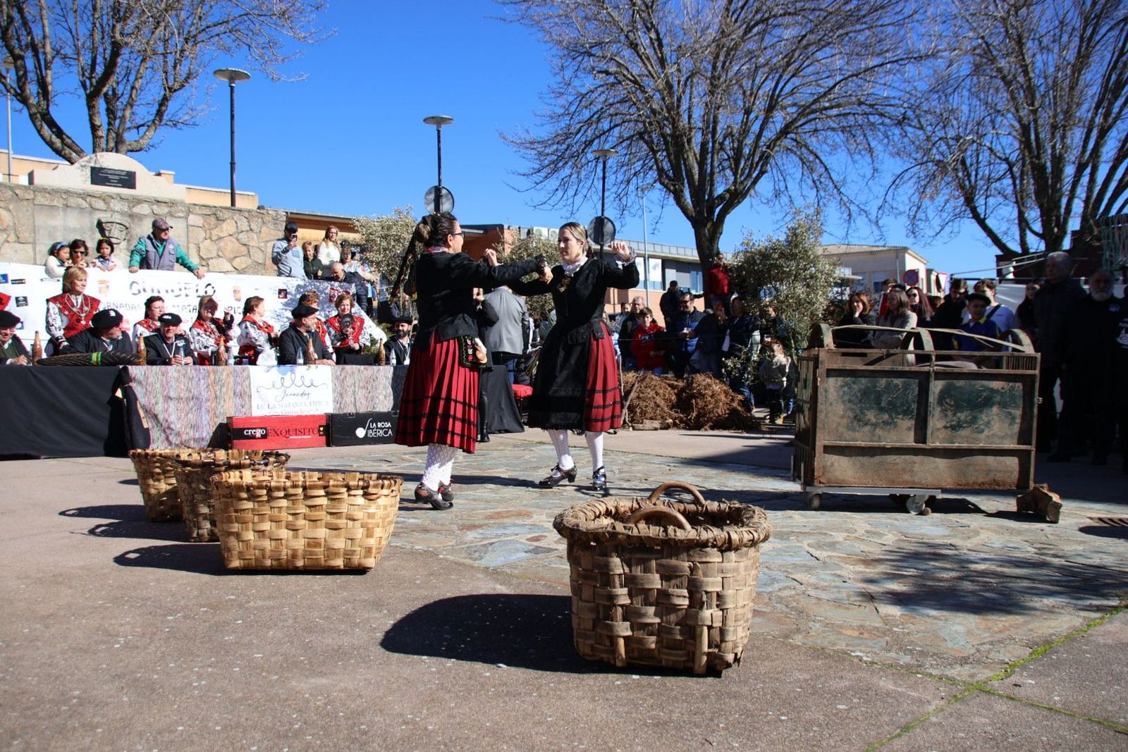 20240203130037-img-4408