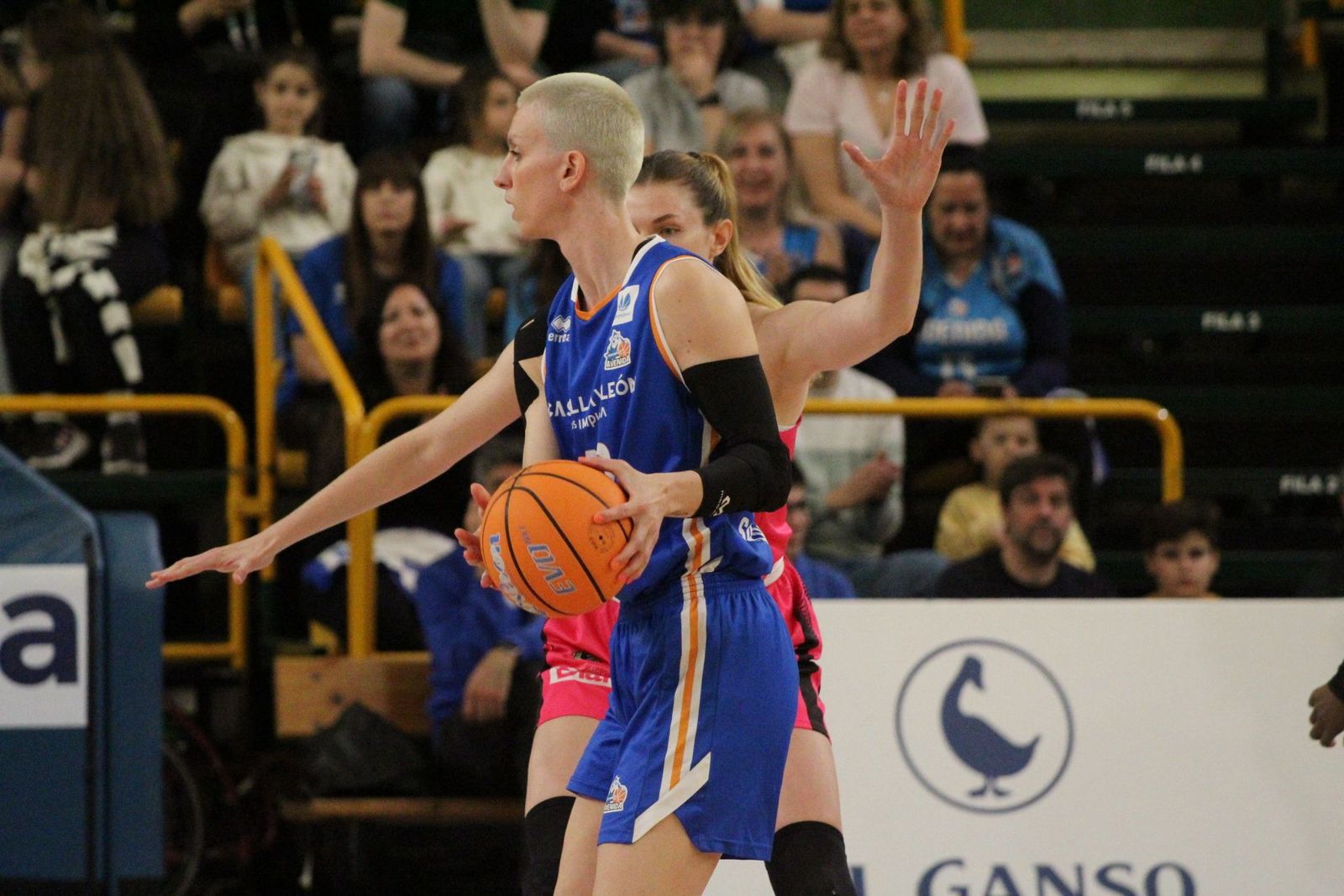 Perfumerías Avenida – Araski