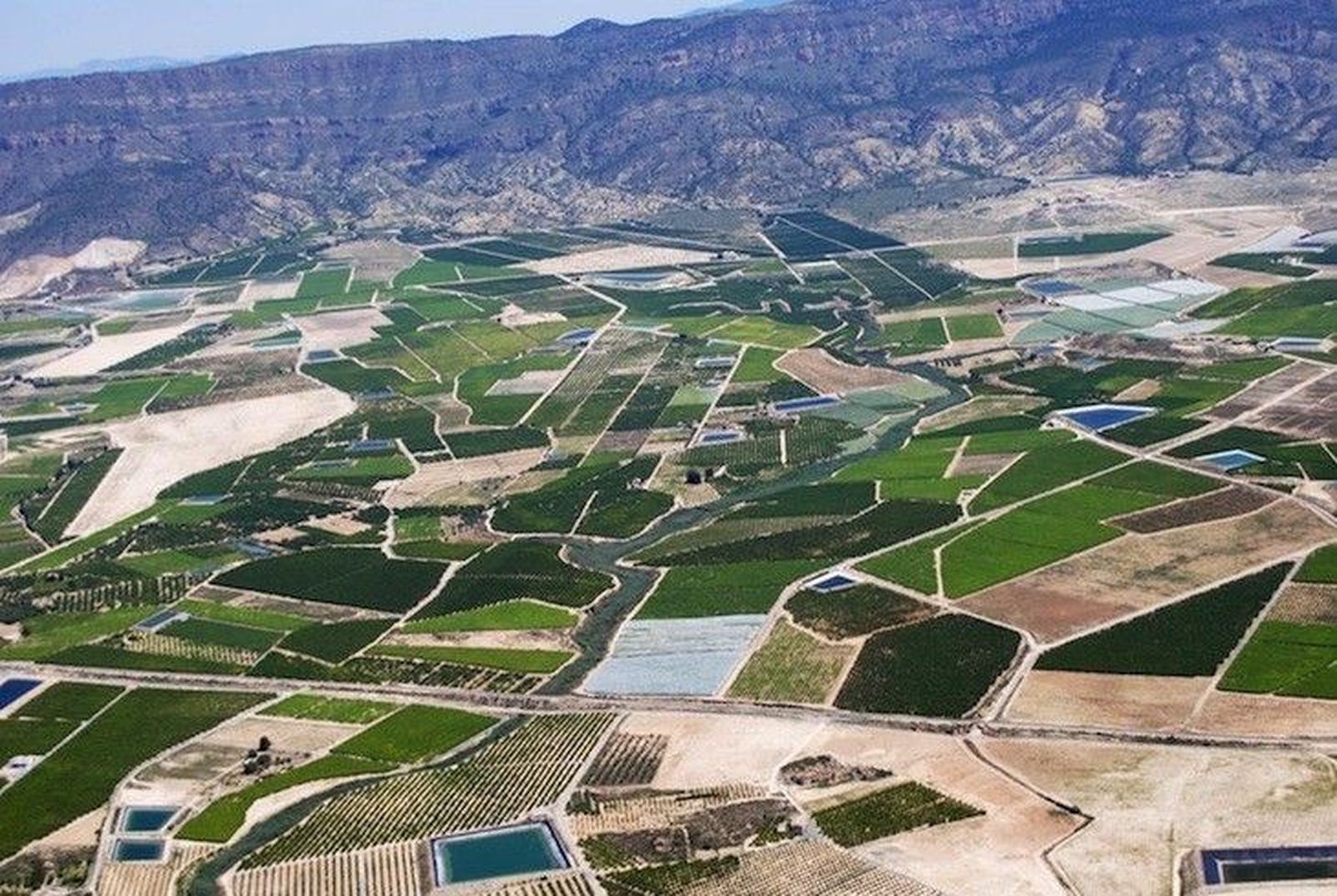 Una veintena de clases de paisajes conforma el mosaico agrario de España