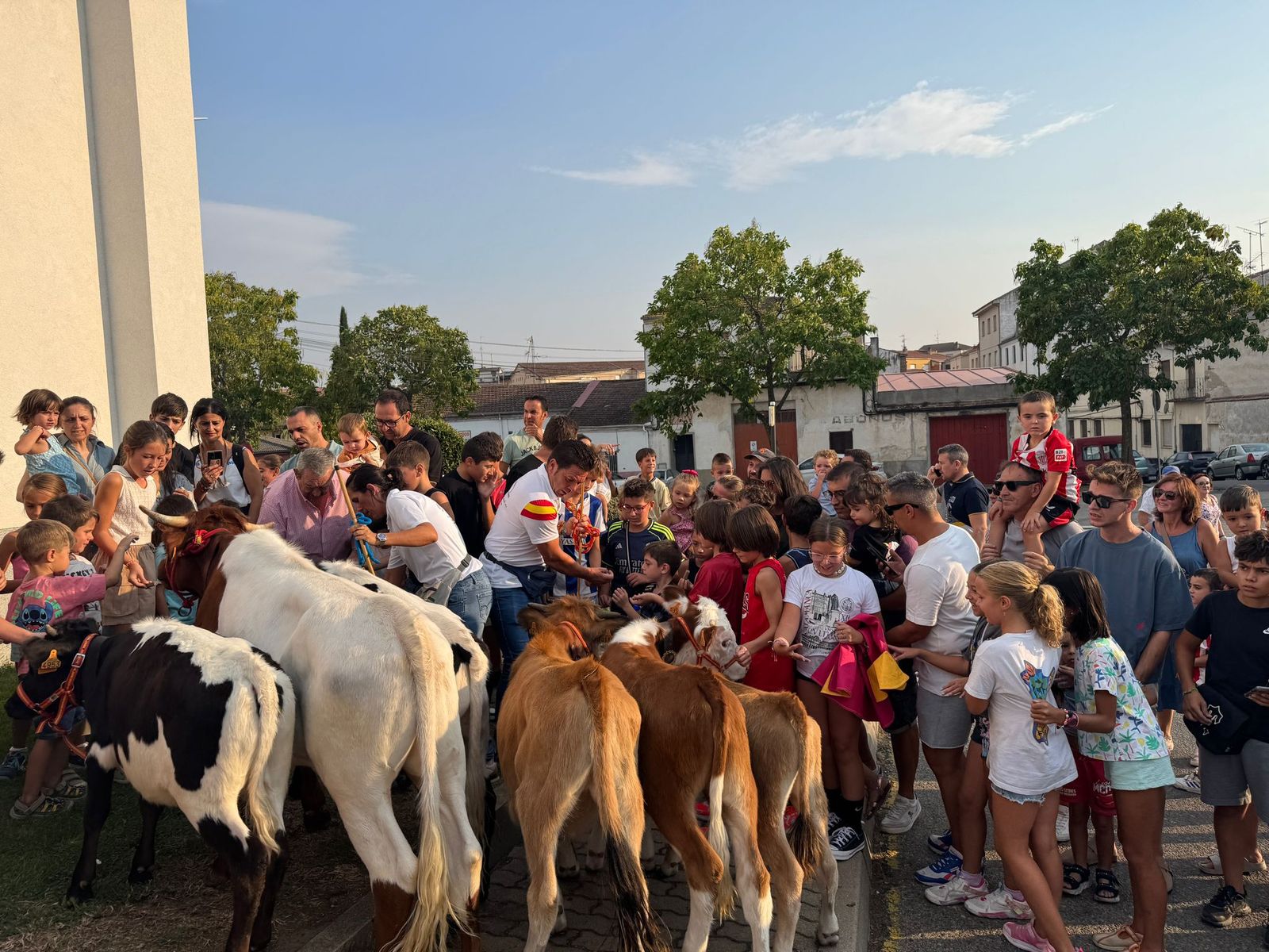Encierro infantil de Mini Bueyes en Guijuelo durante sus fiestas 2025