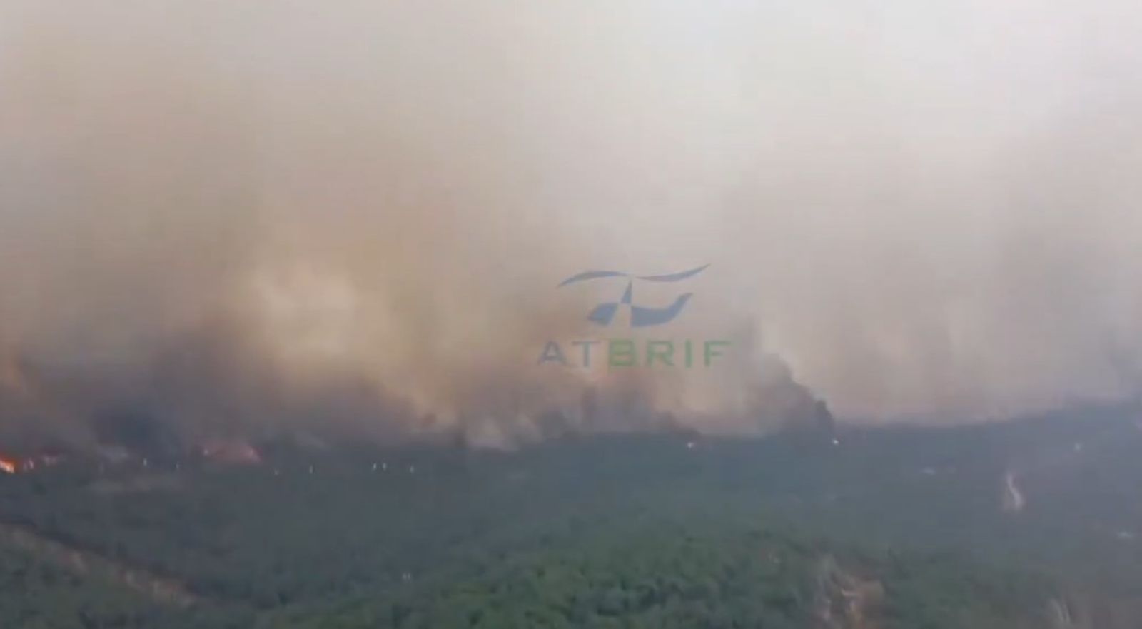 Situación del incendio a la llegada de la BRIF de Pinofranqueado