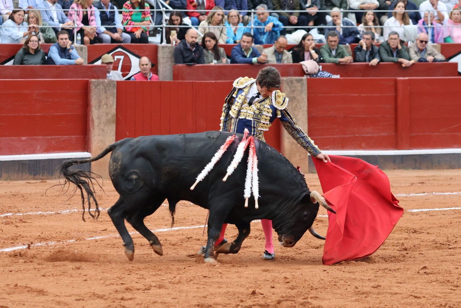 20230916182338-img-5528