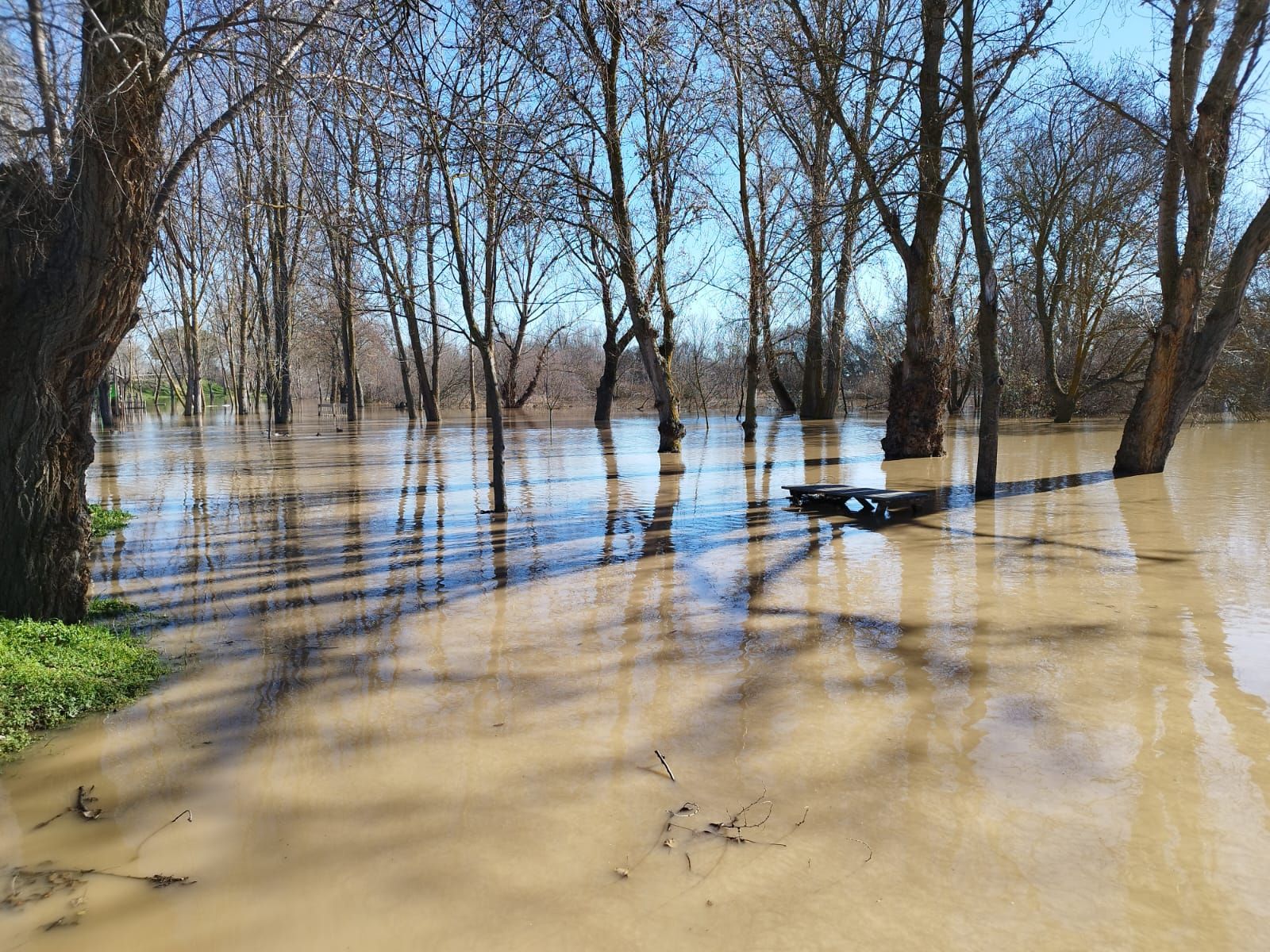 whatsapp-image-2024-01-20-at-13-23-14