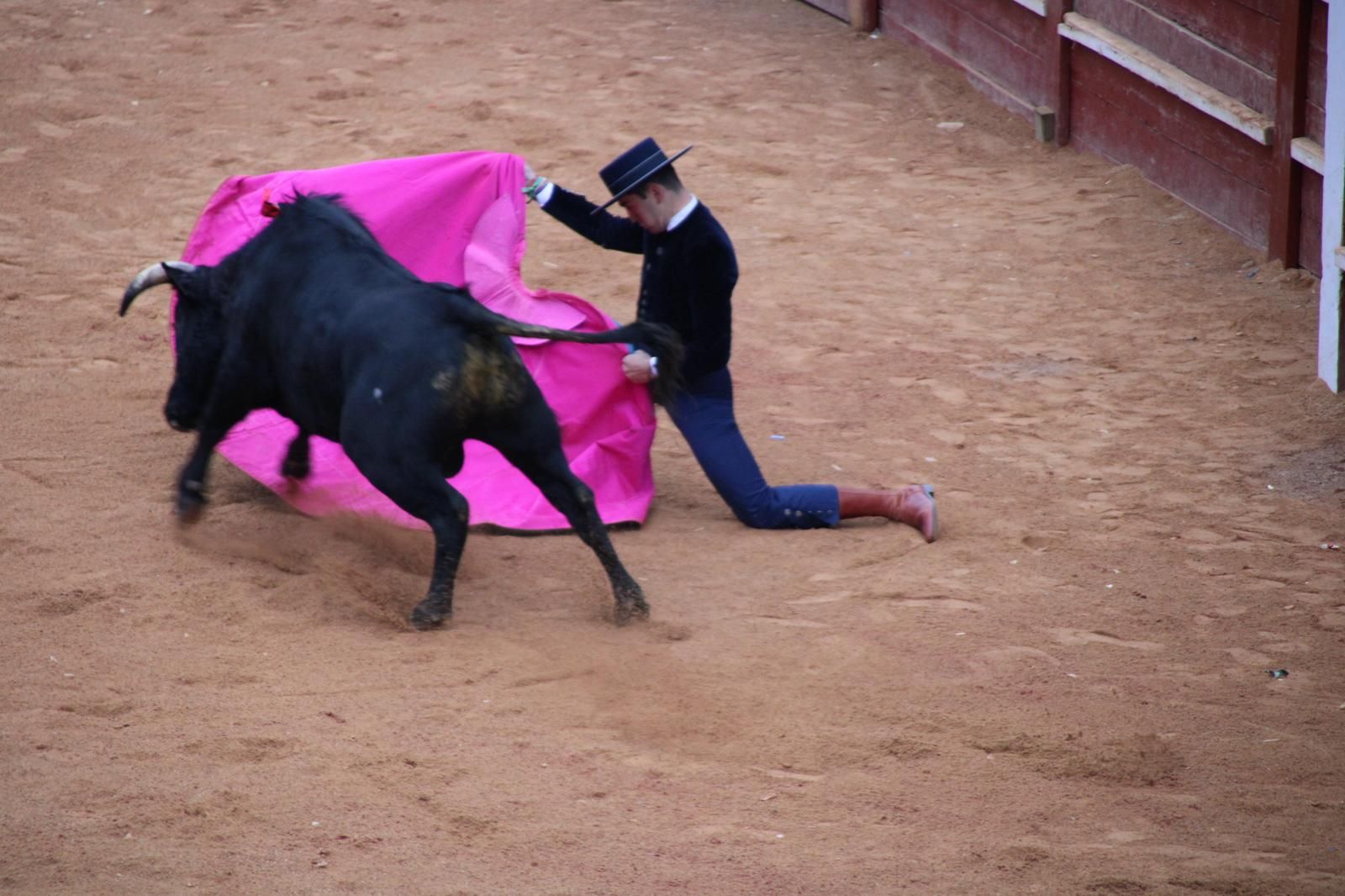 whatsapp-image-2025-03-02-at-18-55-13