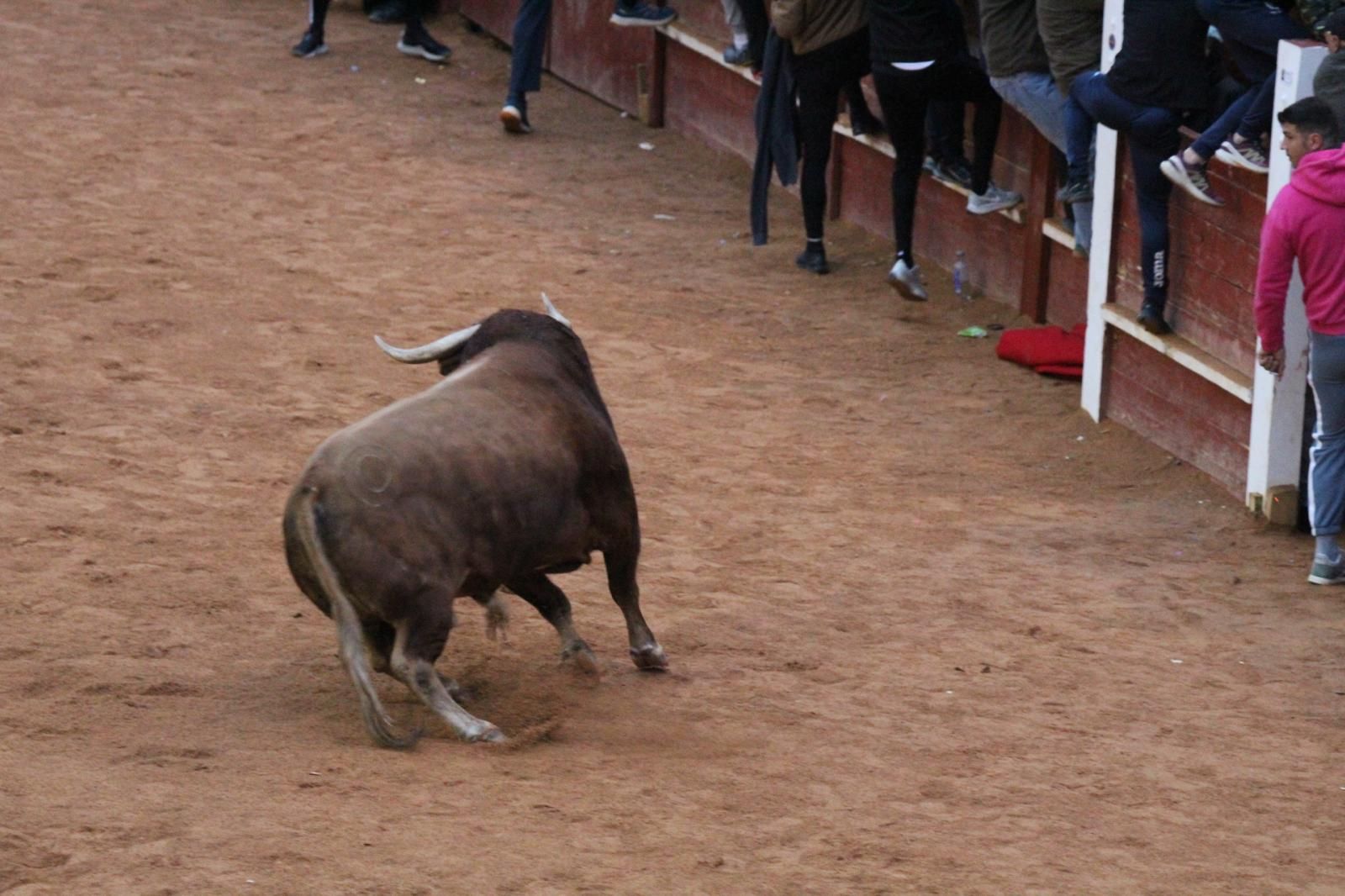ambiente-y-capea-vespertina-sabado-de-carnaval-en-ciudad-rodrigo-2025-fotos-belen-hurtado-47