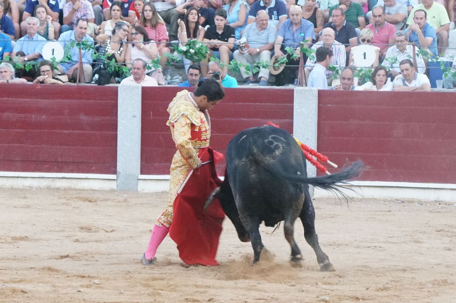 corrida-rejones-guijuelo-41