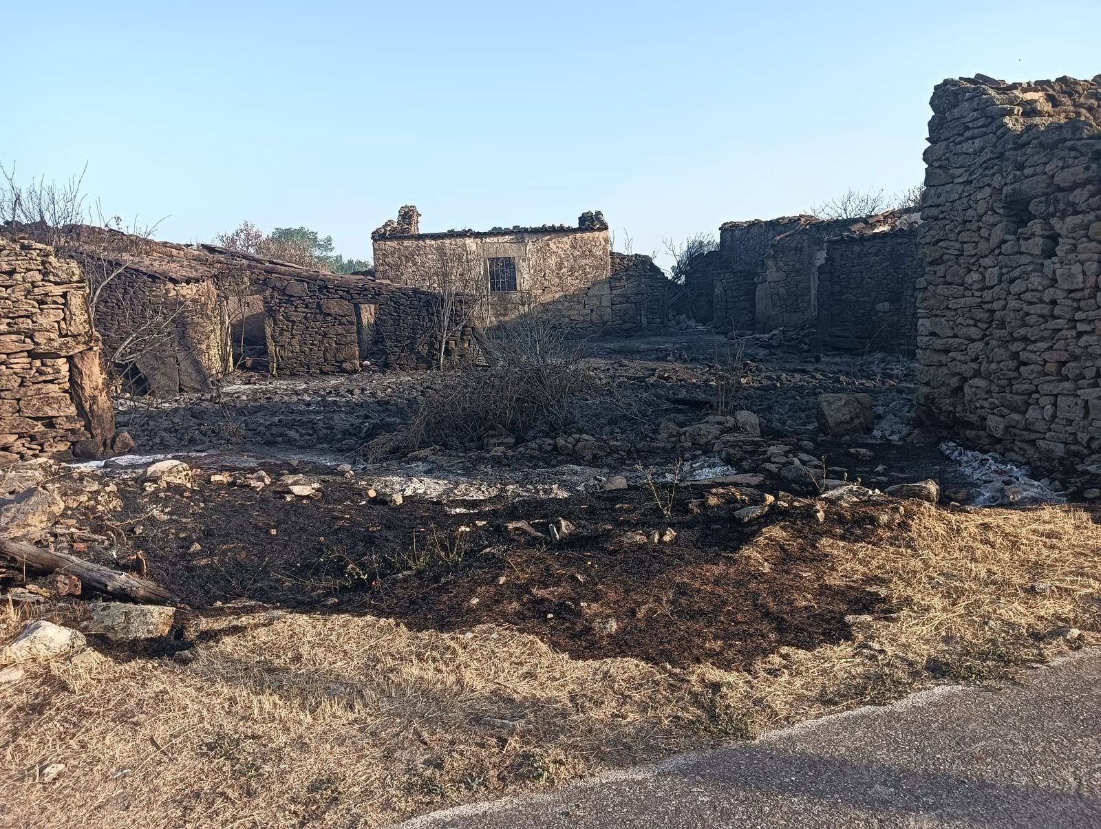 El Groo quemado tras el incendio de Cipérez (8).jpeg