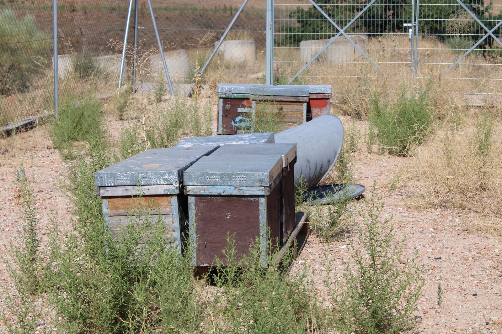 refugio-de-animales-del-ayuntamiento-de-salamanca-62