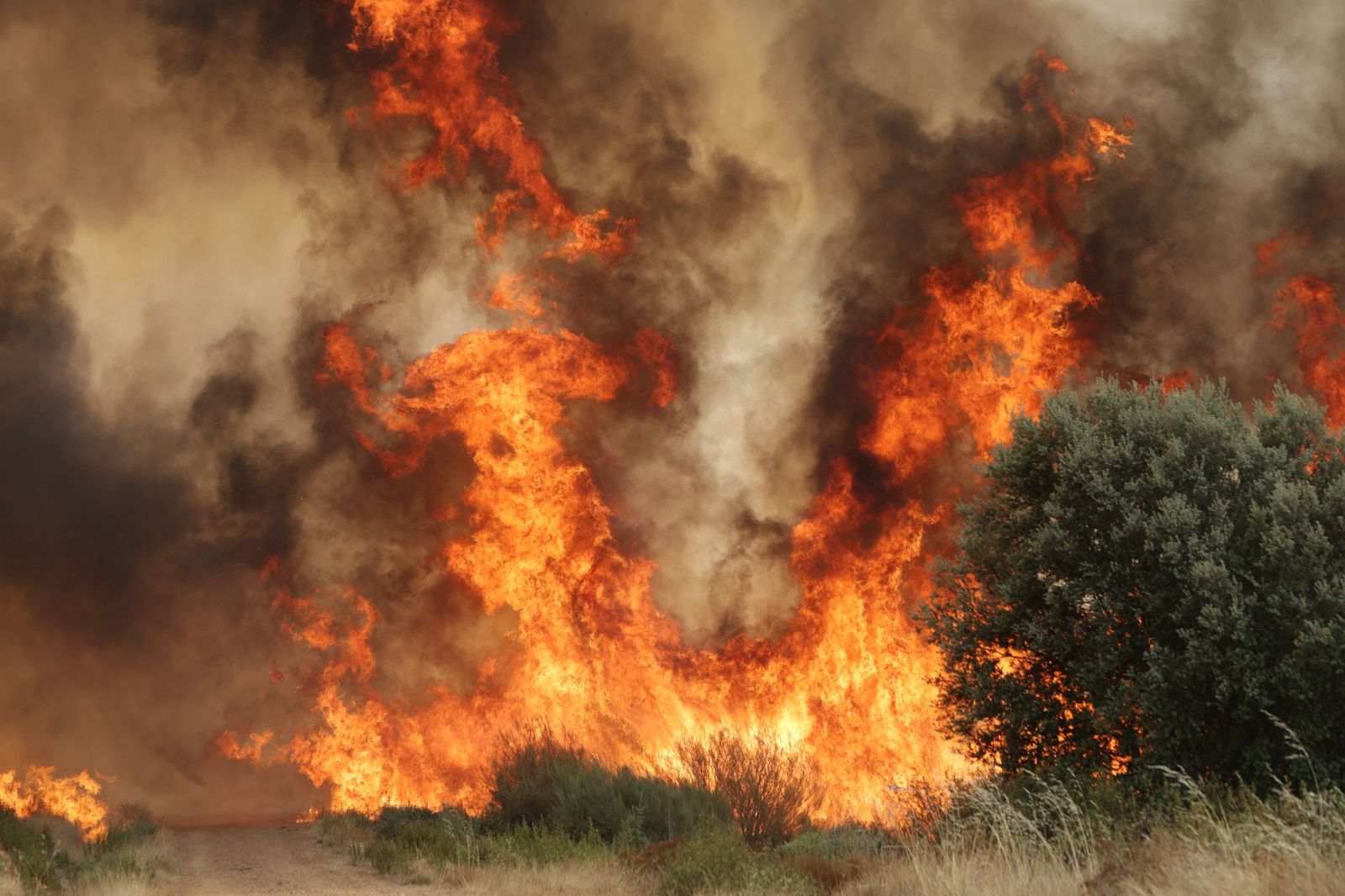 Incendio de Puercas. La situación entre Abejera y Riofrío