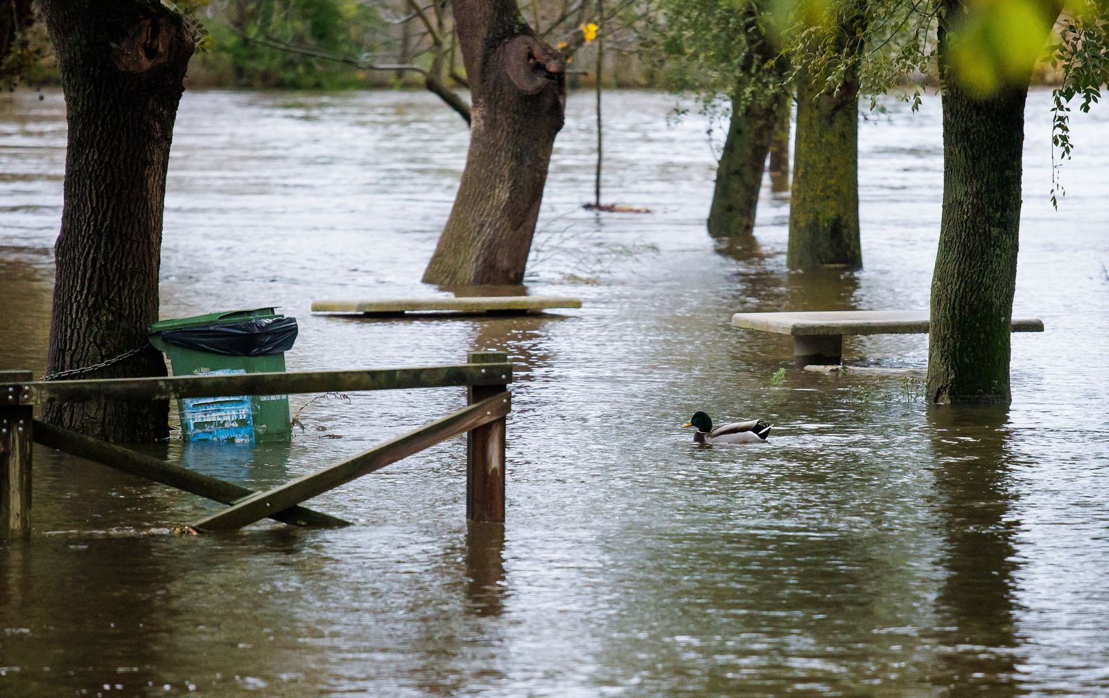 Crecida del río Águeda a su paso por Ciudad Rodrigo