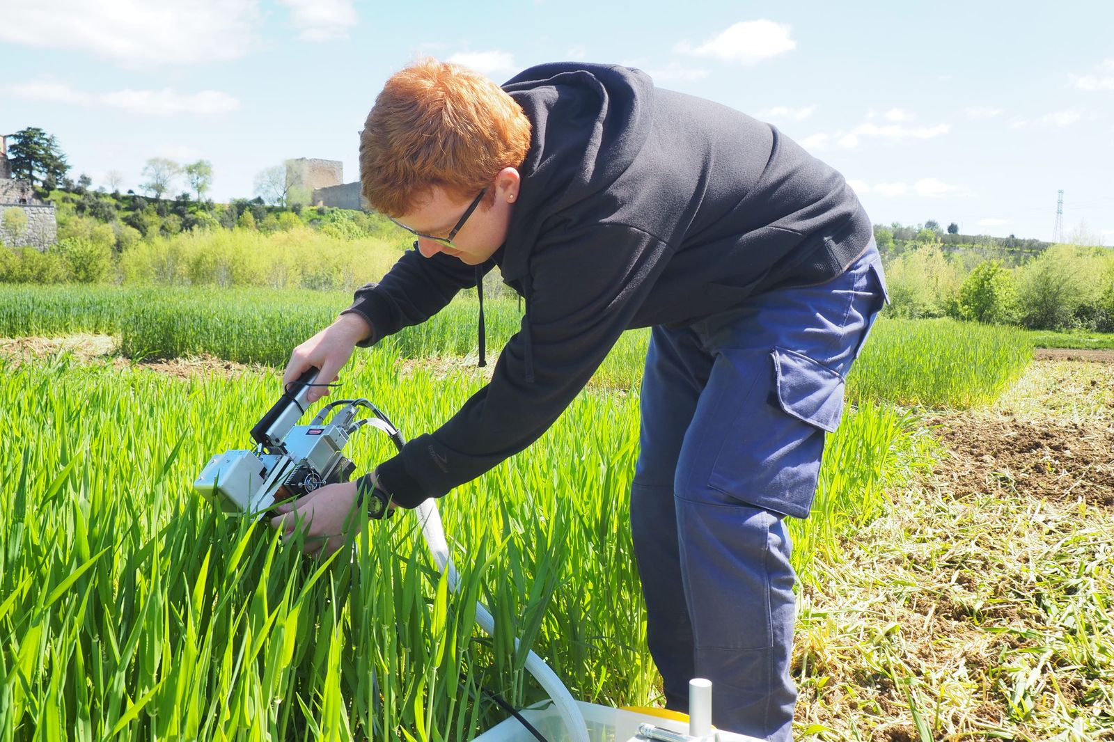 Rubén Vicente, investigador del IRNASA CSIC (1)