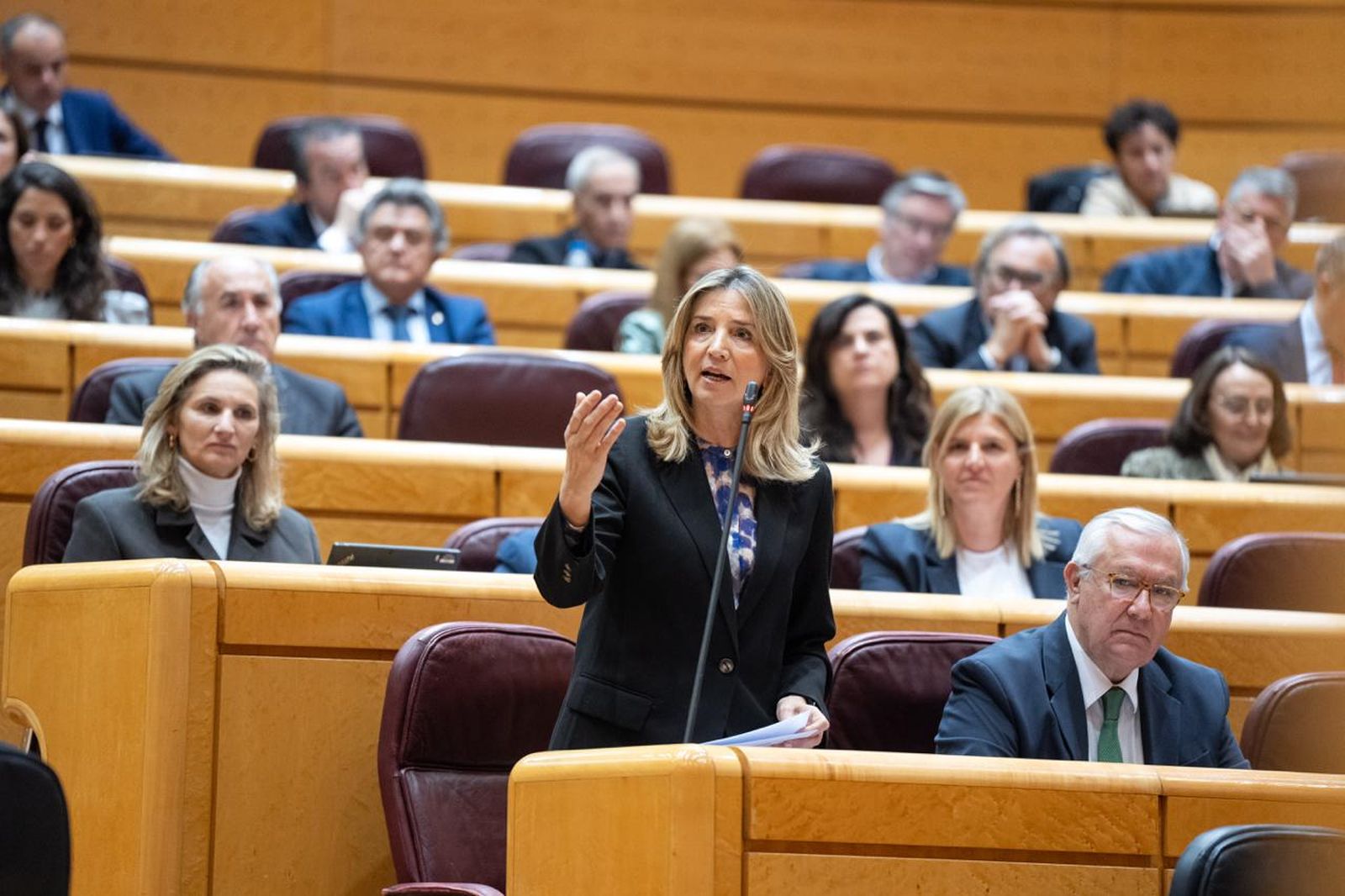 La portavoz del Partido Popular en el Senado, Alicia García