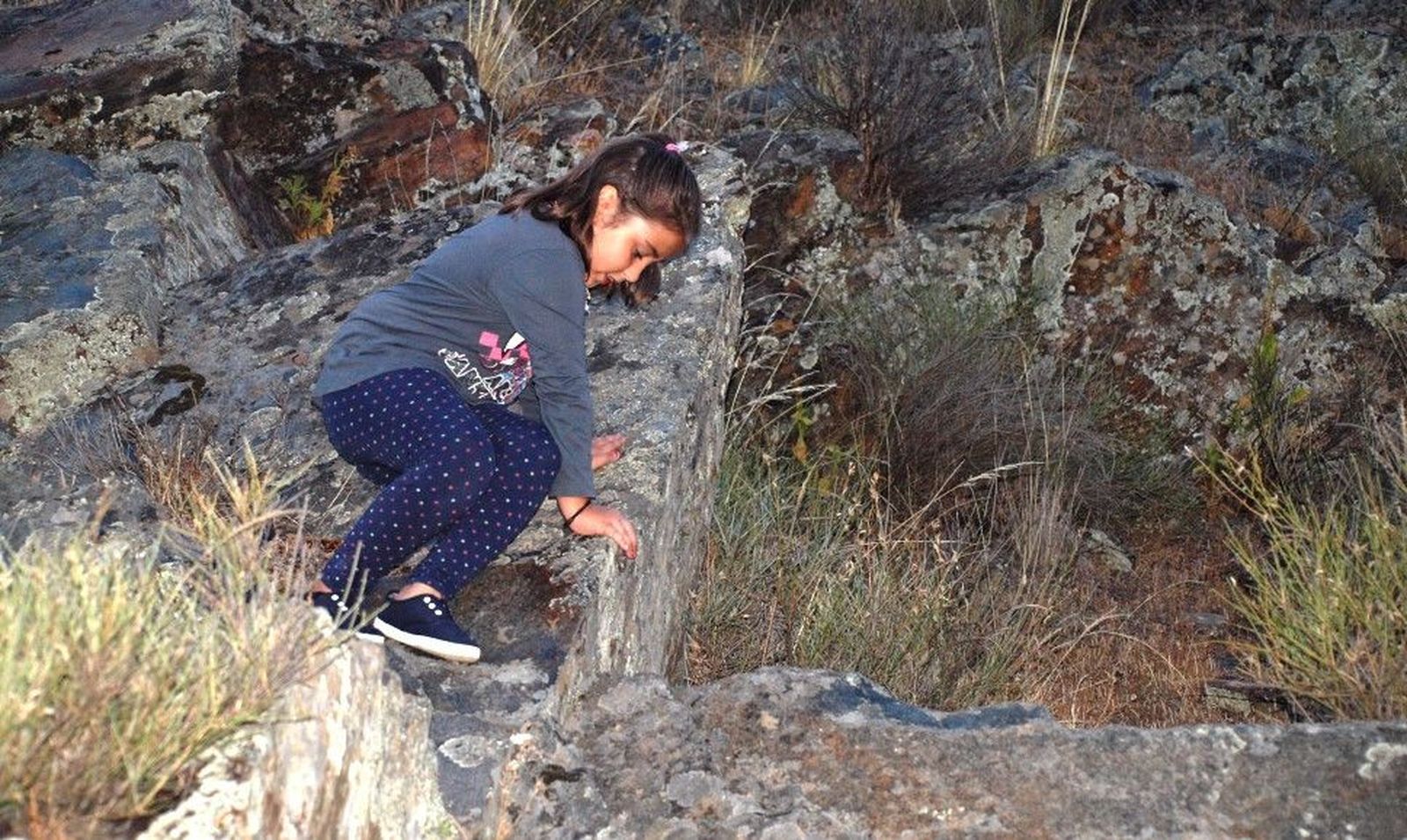 CORRIENDO POR SIEGA VERDE