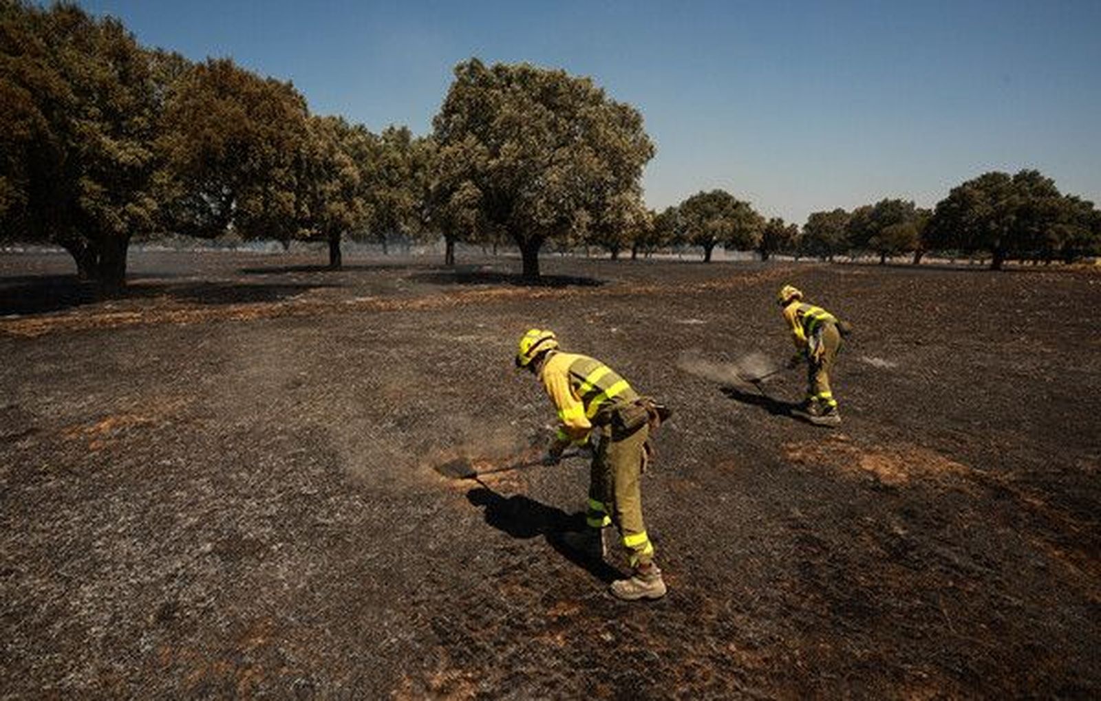 GALERÍA  Incendio forestal intencionado en Campillo de Azaba. Fotos José Vicente  ICAL (8)