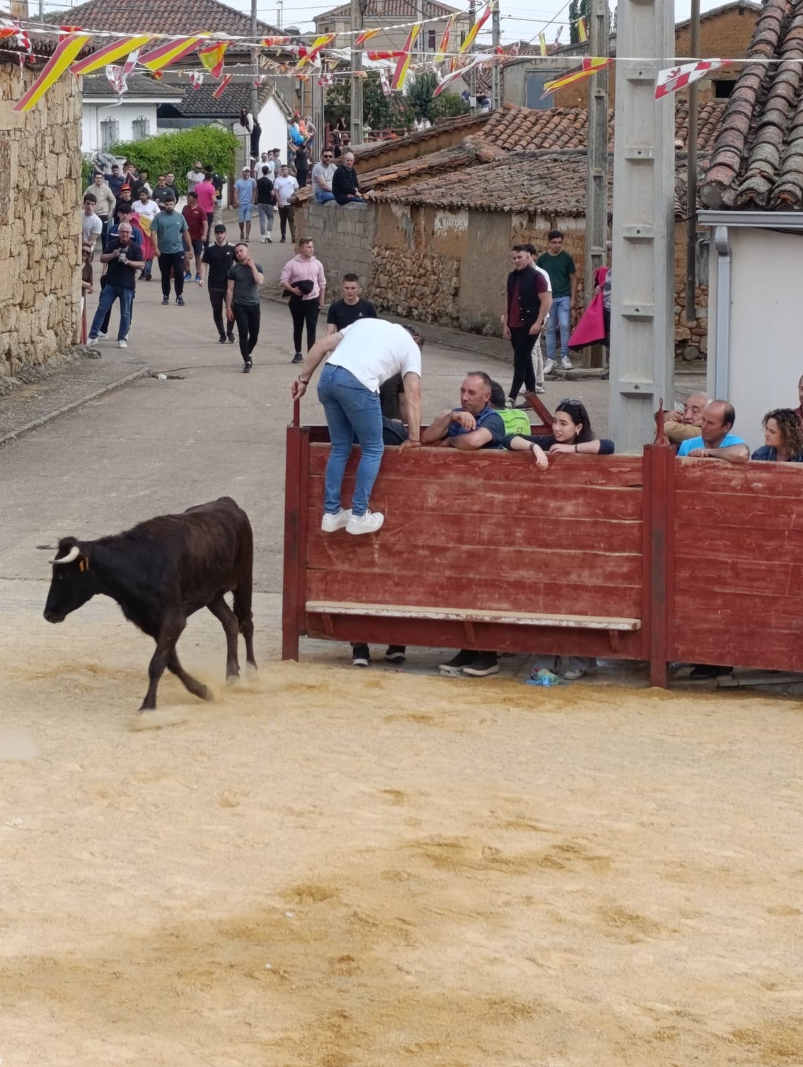 whatsapp-image-2025-05-17-at-19-37-21-1