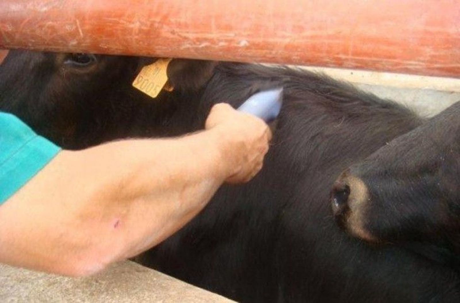 La Asociación 19 de abril inicia una ronda de reuniones informativas sobre el derecho al contranálisis