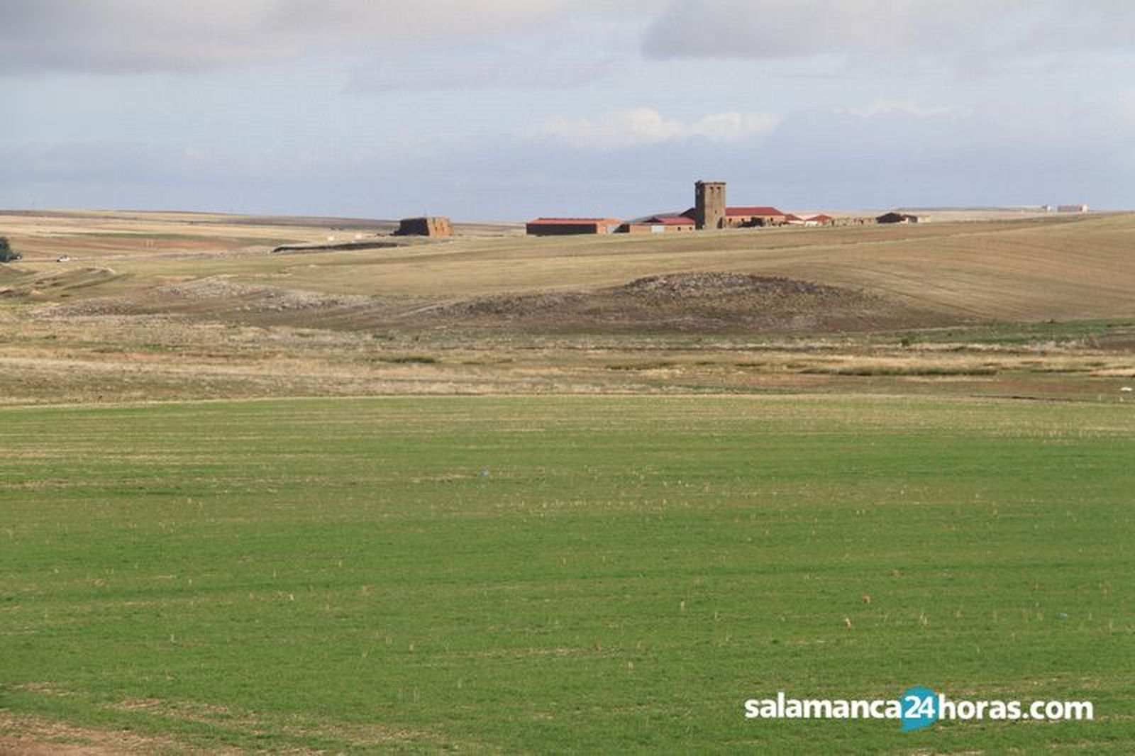 Campo septiembre (1)