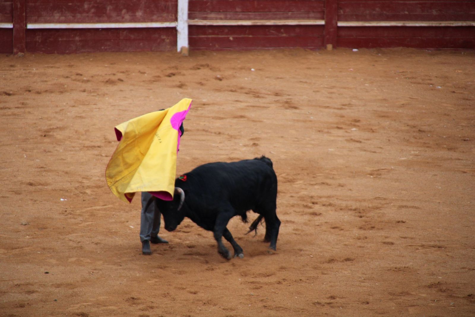 whatsapp-image-2025-03-02-at-18-54-09