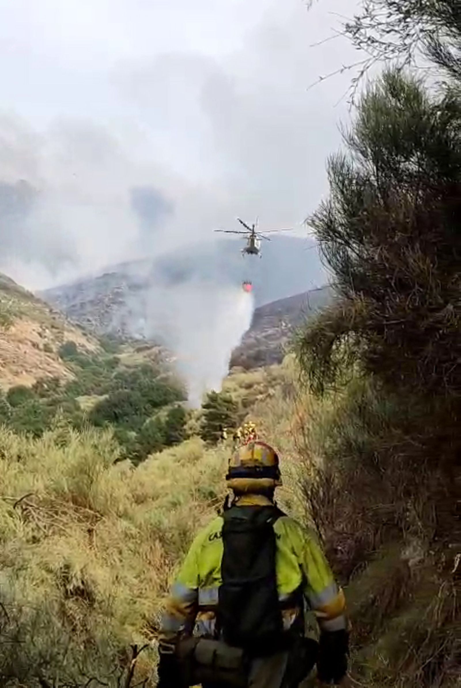 Incendio de Jarilla en la Sierra de Candelario
