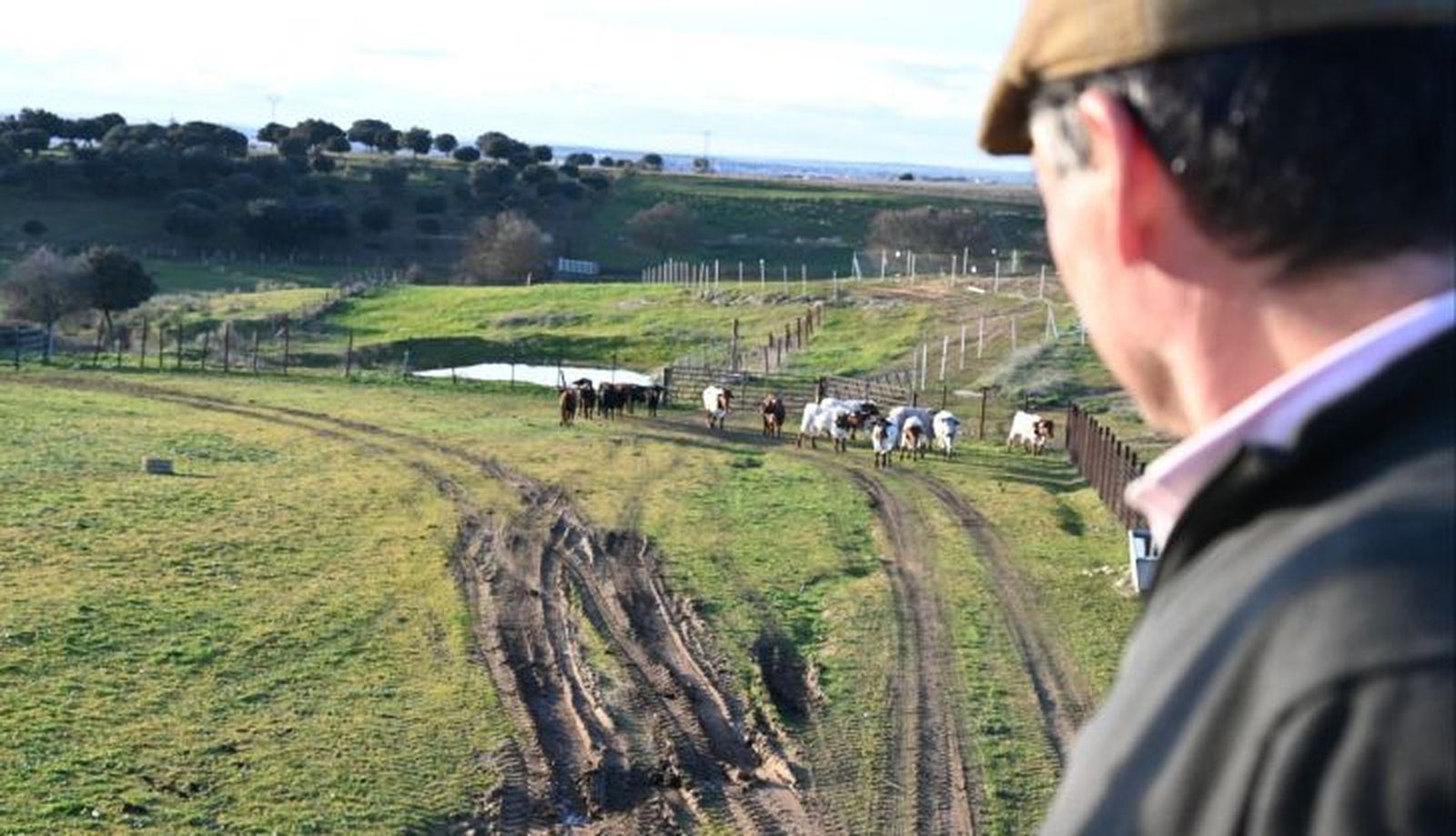 Imagen de WhatsApp 2025 02 01 a las 19.06.11 83c92427