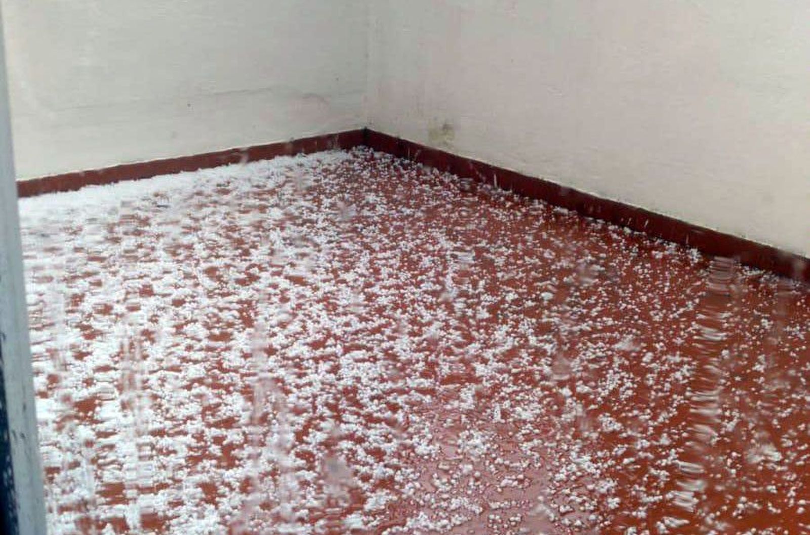 WhatsApp Image 2020 05 07 at 19.43.02