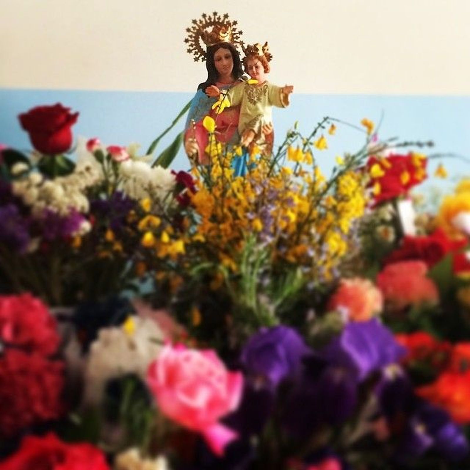 colegio-maria-auxiliadora-especial-ensenanza-2021-33