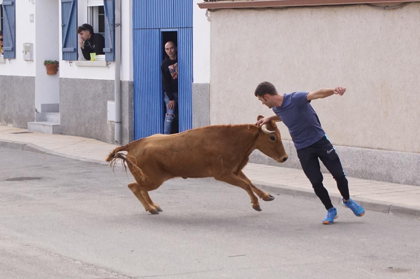 whatsapp-image-2024-09-08-at-14-04-58-3